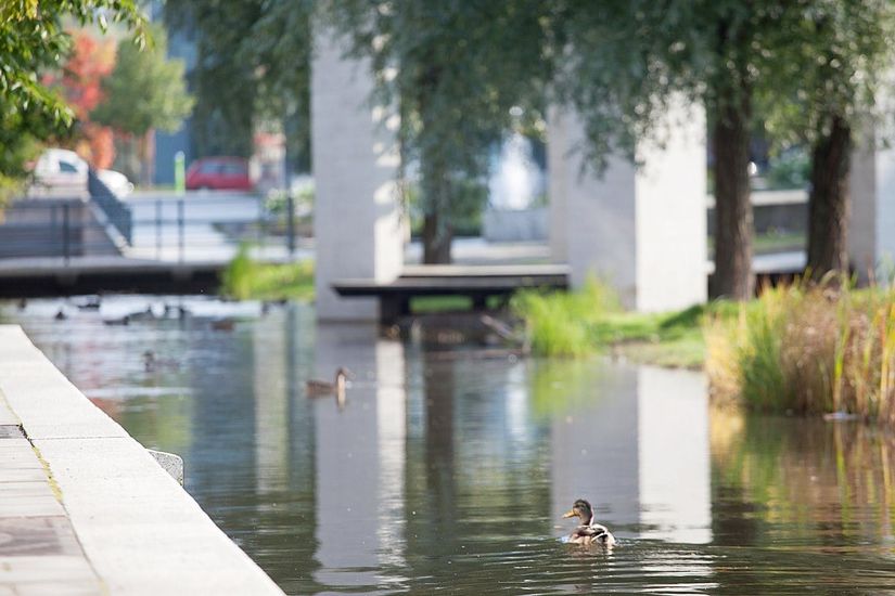 Bostadsrätt, Lugnets Allé 24, Stockholm