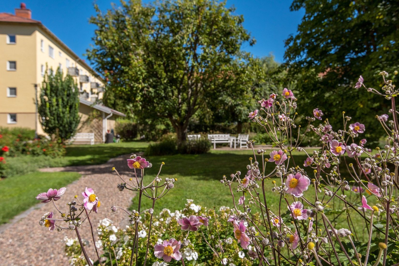 Bostadsrätt, Von Leesengatan 3C, Söder, Norrköping