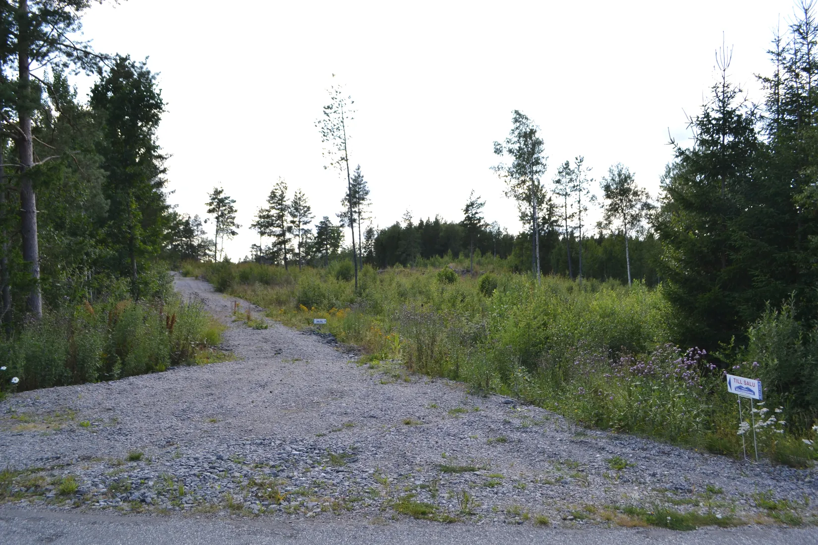 Tomt, Väddö kustväg 250, Väddö Edeby, Norrtälje