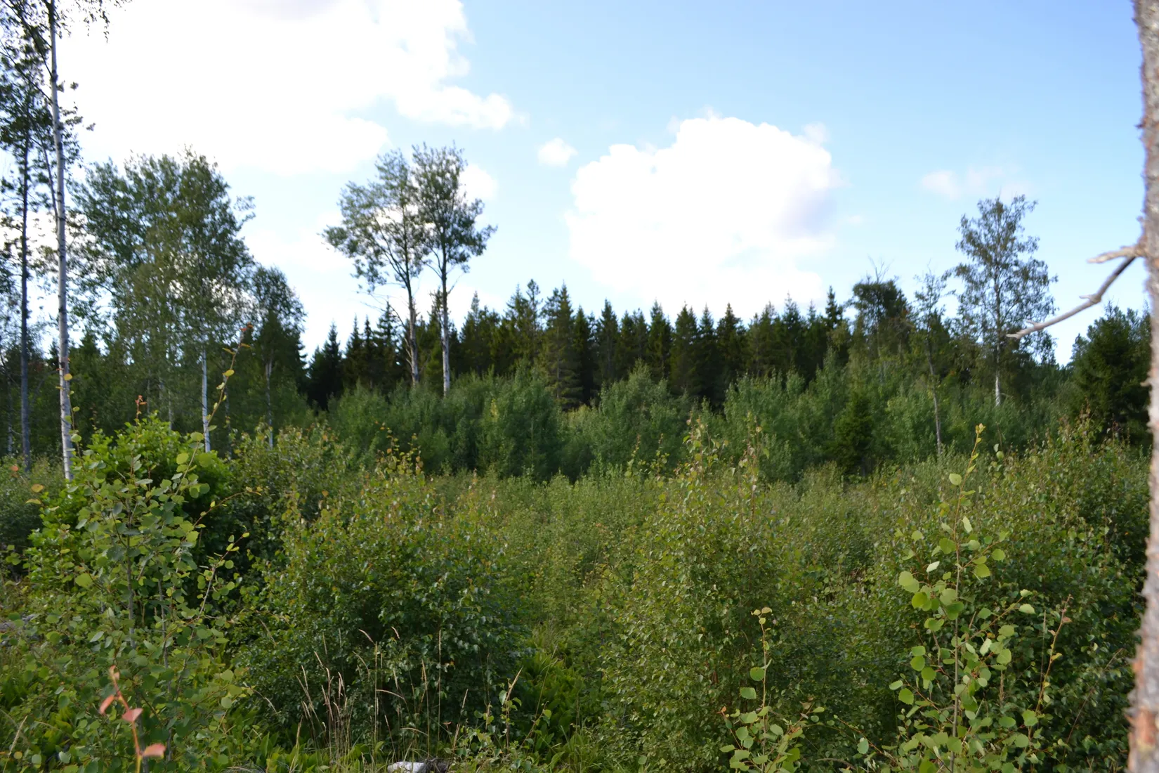 Tomt, Väddö kustväg 250, Väddö Edeby, Norrtälje