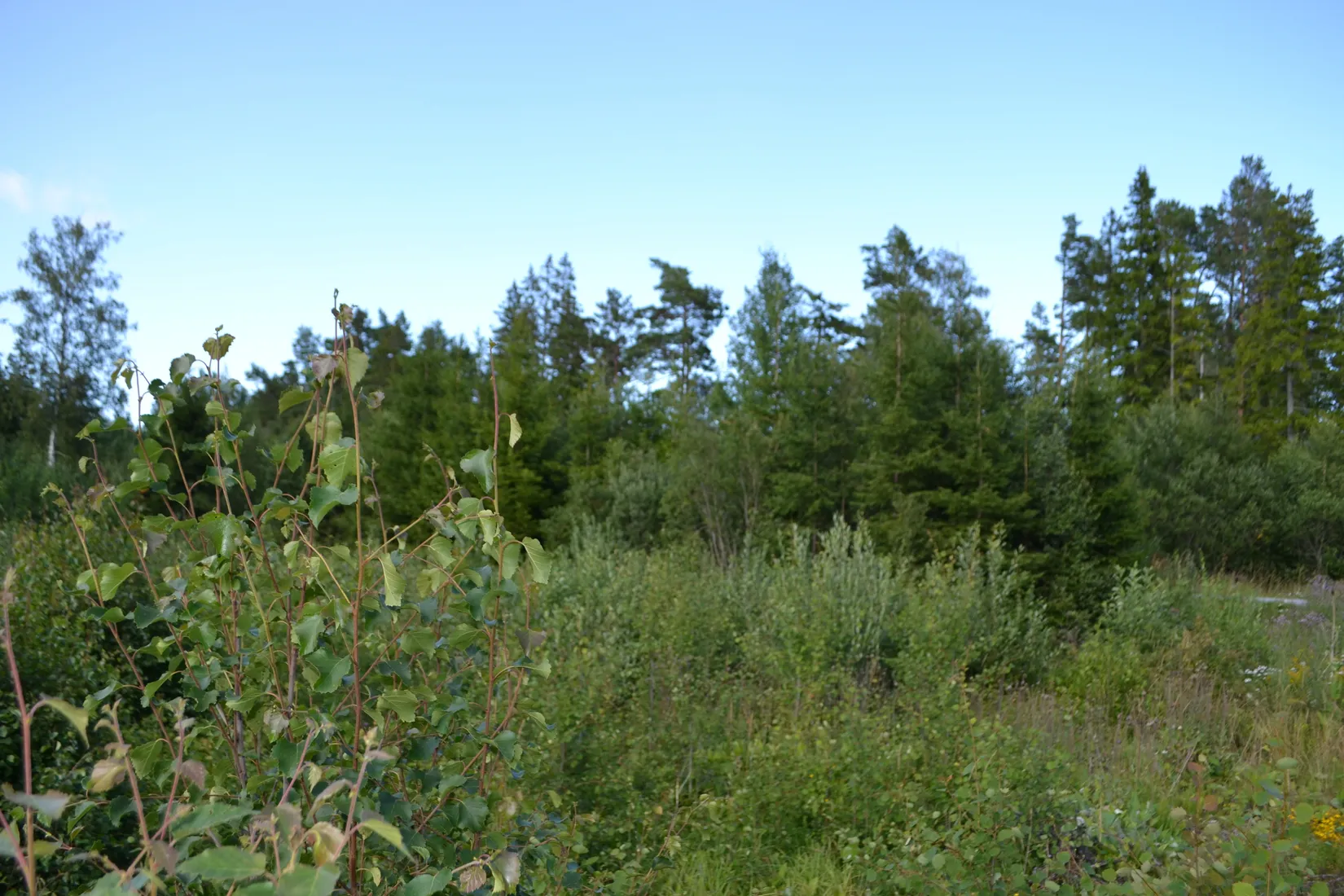 Tomt, Väddö kustväg 250, Väddö Edeby, Norrtälje