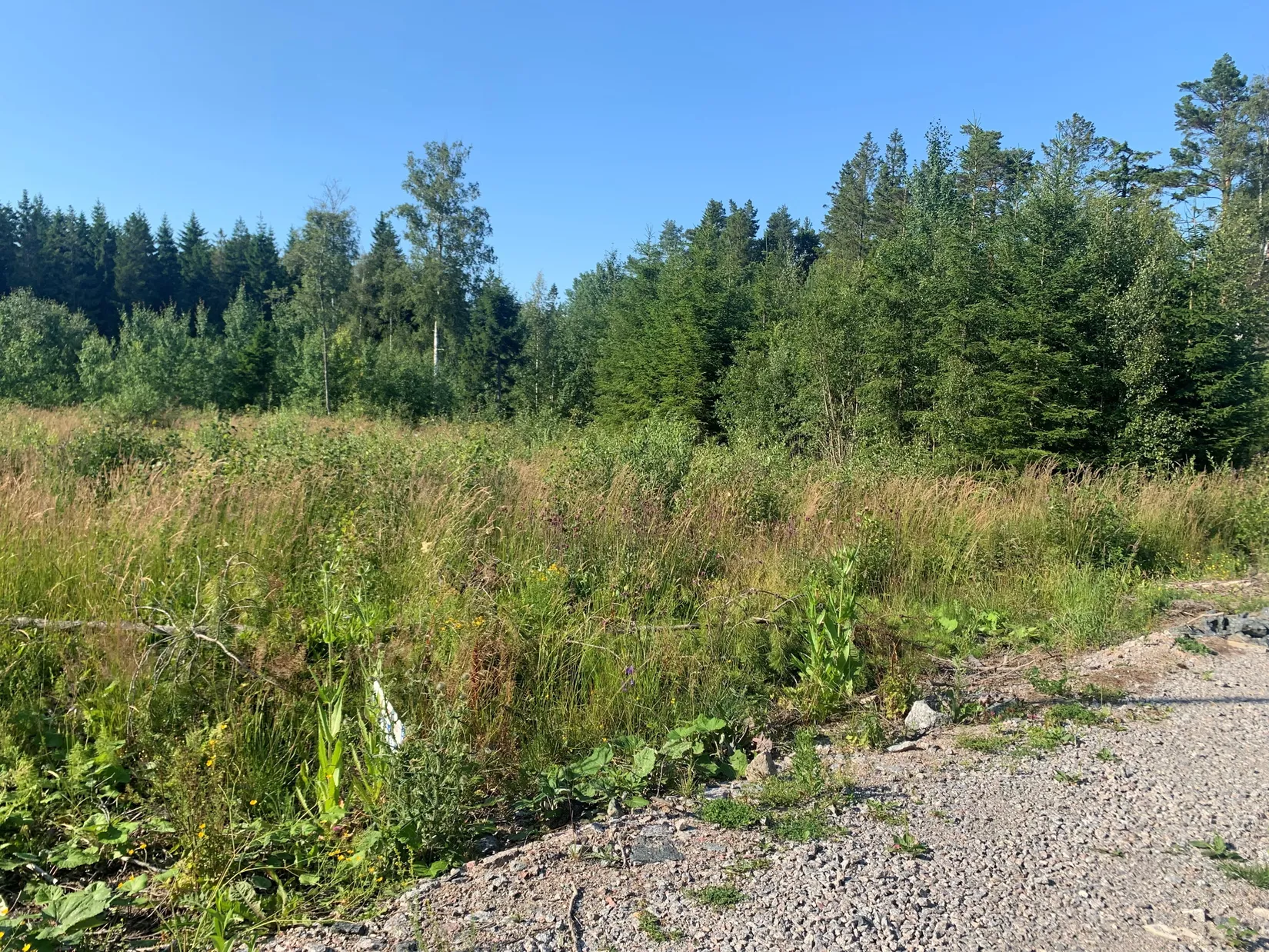 Tomt, Väddö kustväg 250, Väddö Edeby, Norrtälje