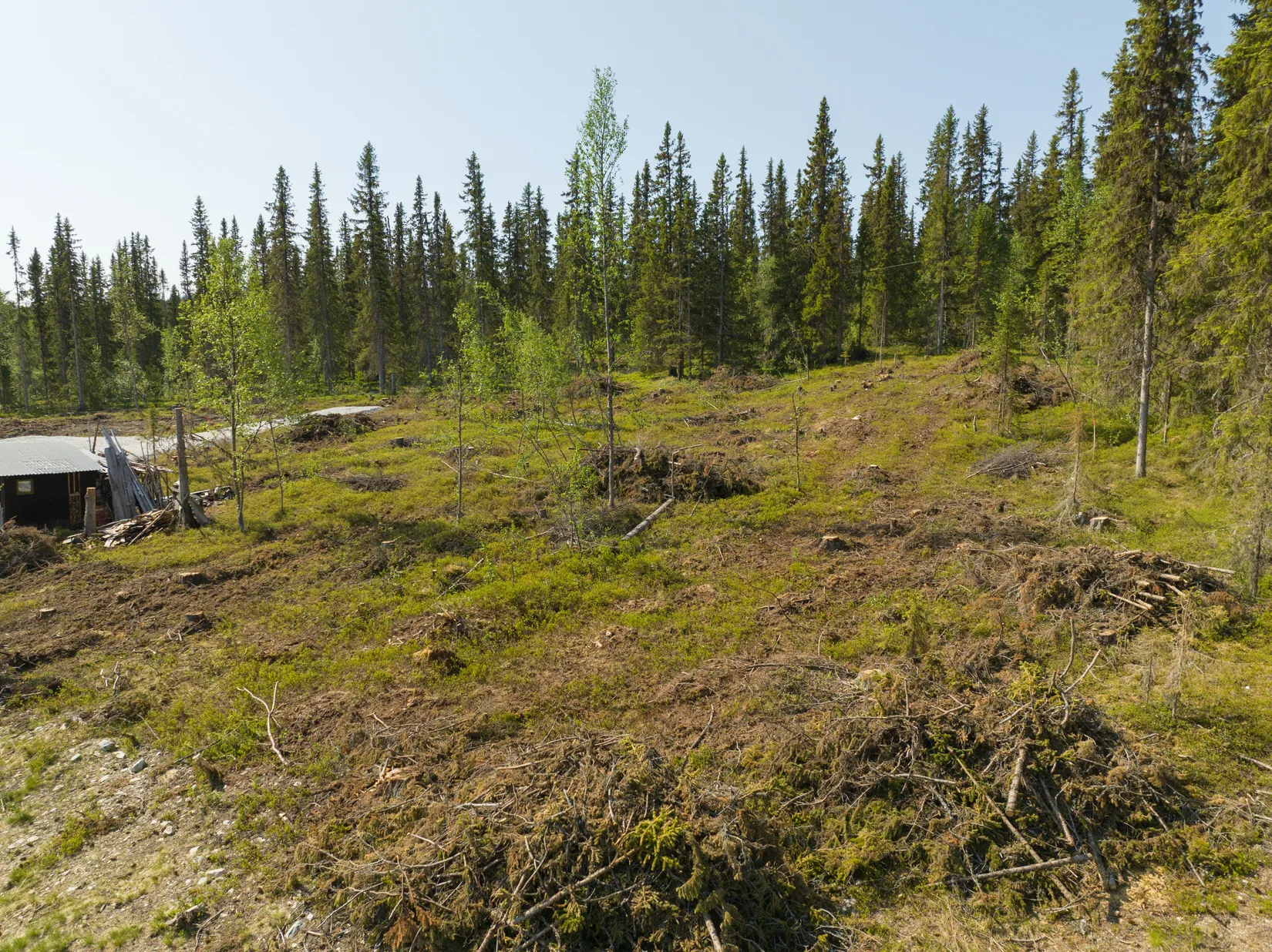 Tomt, Tomt Storkroksvägen, Funäsdalen 6:45, Funäsdalen, Härjedalen