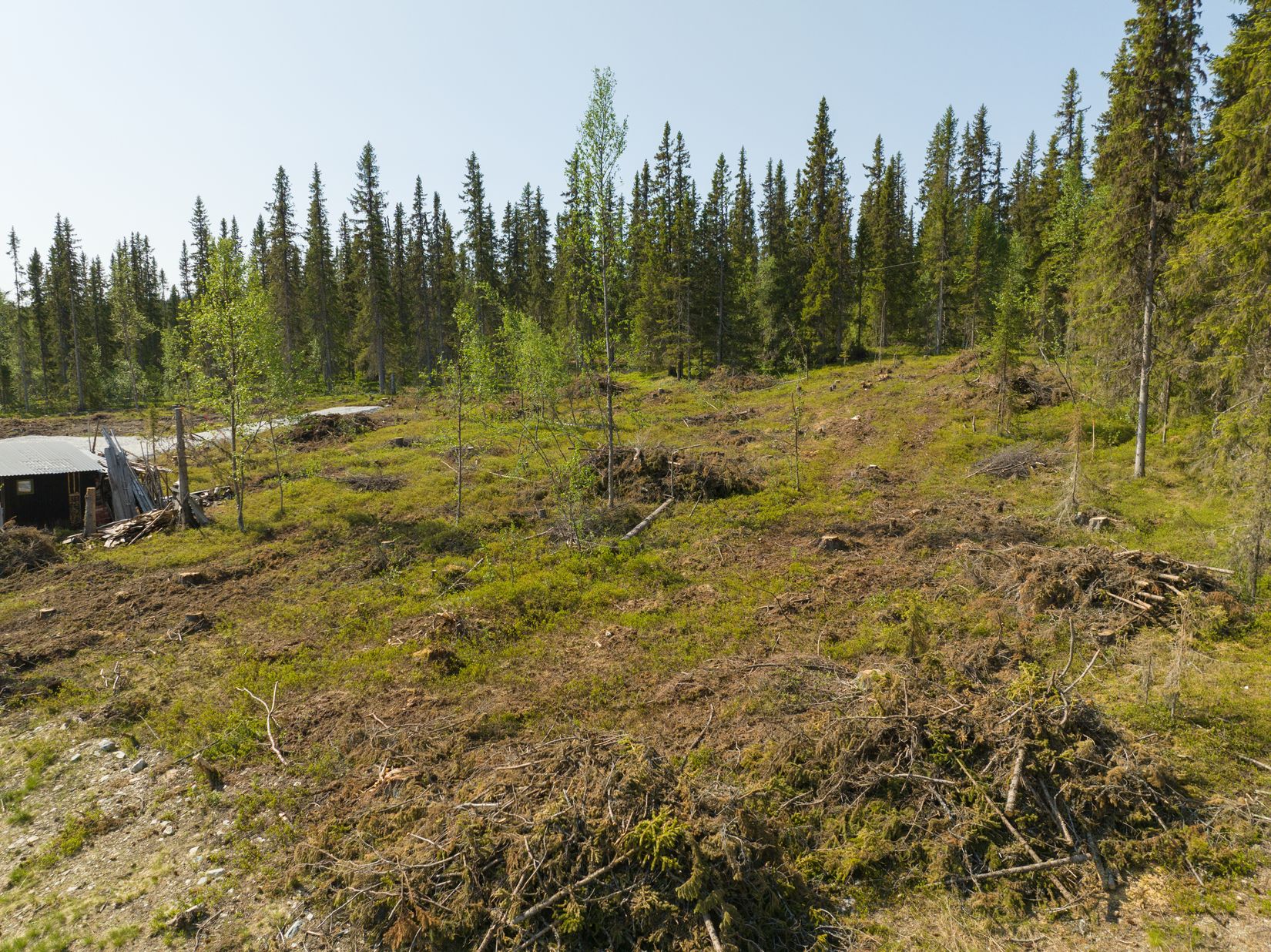 Tomt, Tomt Storkroksvägen, Funäsdalen 6:44, Funäsdalen, Härjedalen