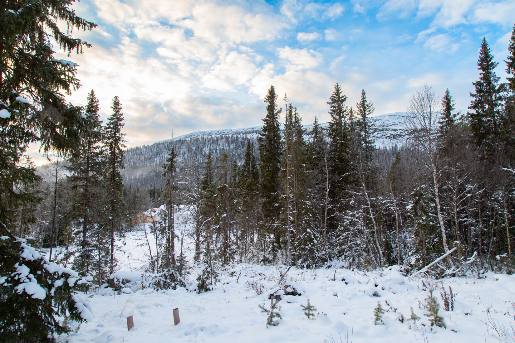 Tomt, Kåvan 61A, Härjedalen