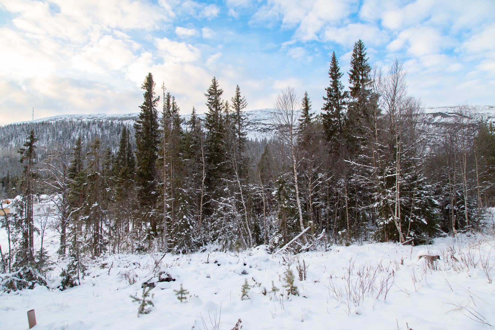Tomt, Kåvan 61A, Härjedalen