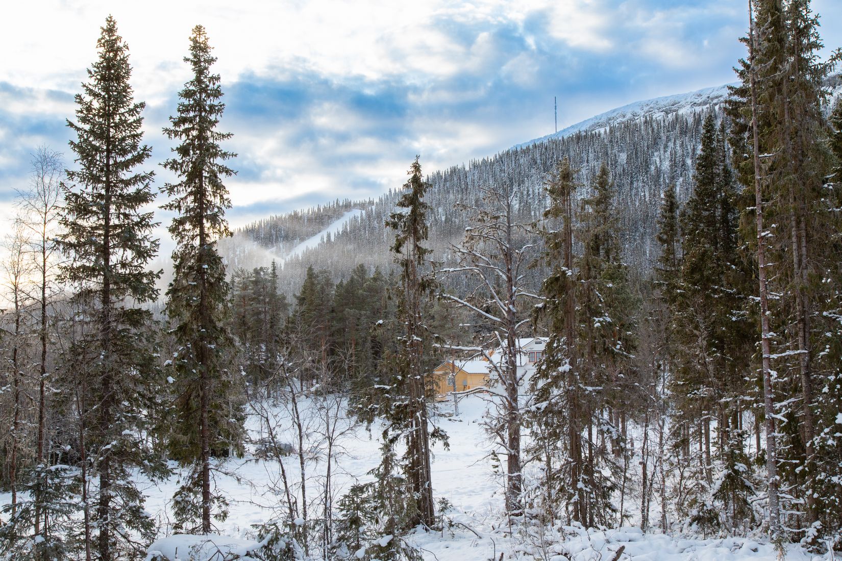 Tomt, Kåvan 61A, Härjedalen