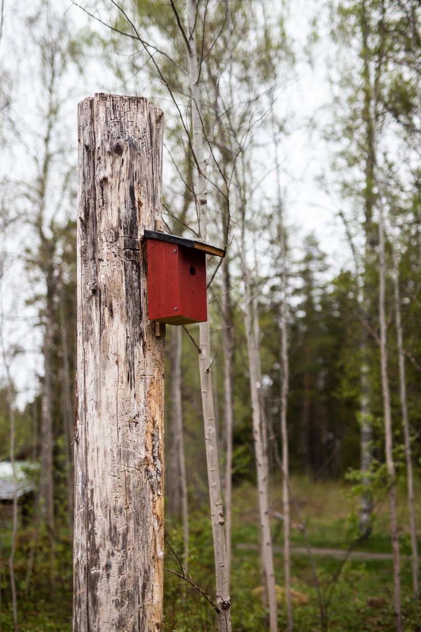Tomt, Rastorp 9, Lanna, Lekeberg