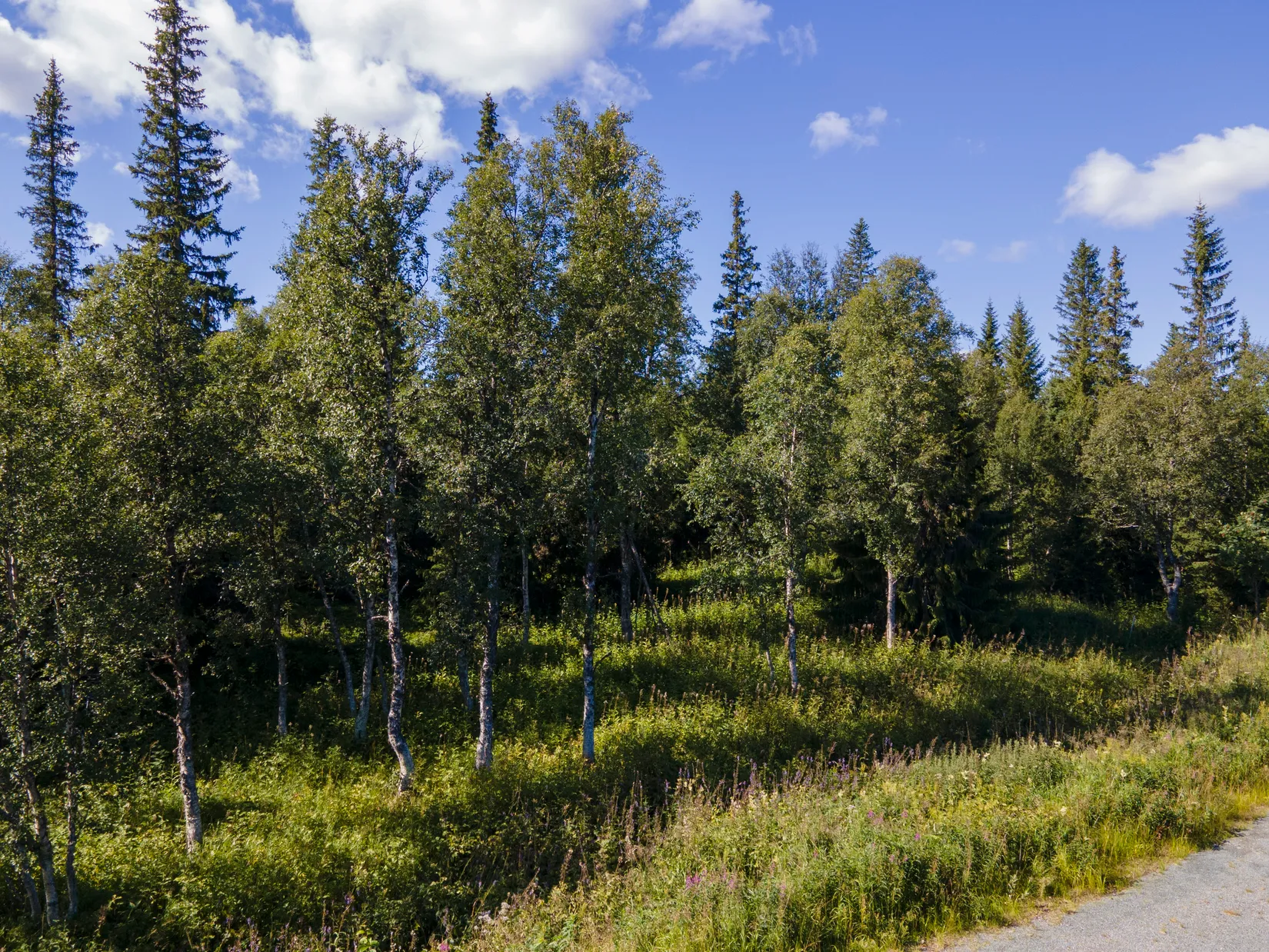 Tomt, Finnvallklumpen 136, Finnvallklumpen, Åre