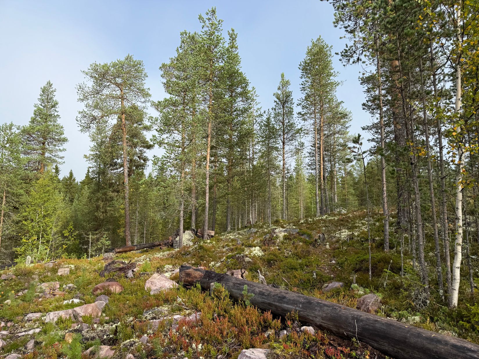 Tomt, Tomt Blåbärsstigen 19, Idre, Älvdalen