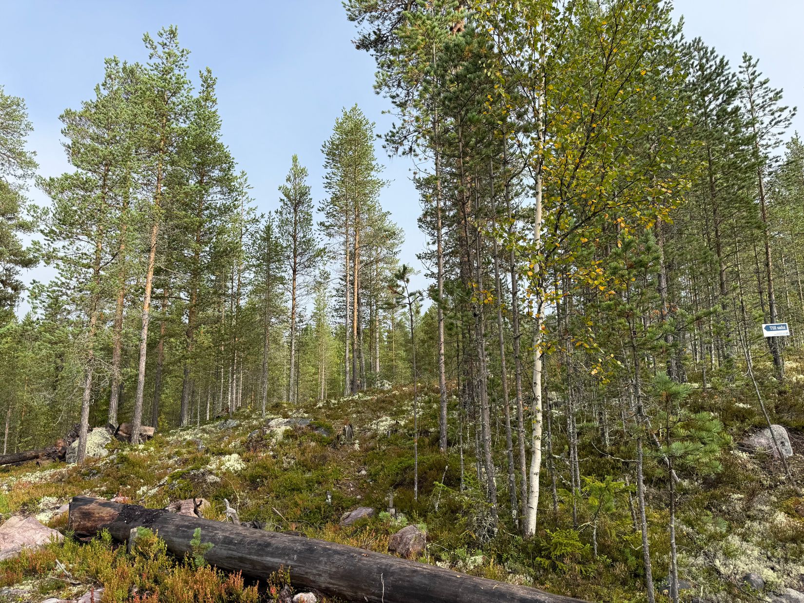 Tomt, Tomt Blåbärsstigen 19, Idre, Älvdalen