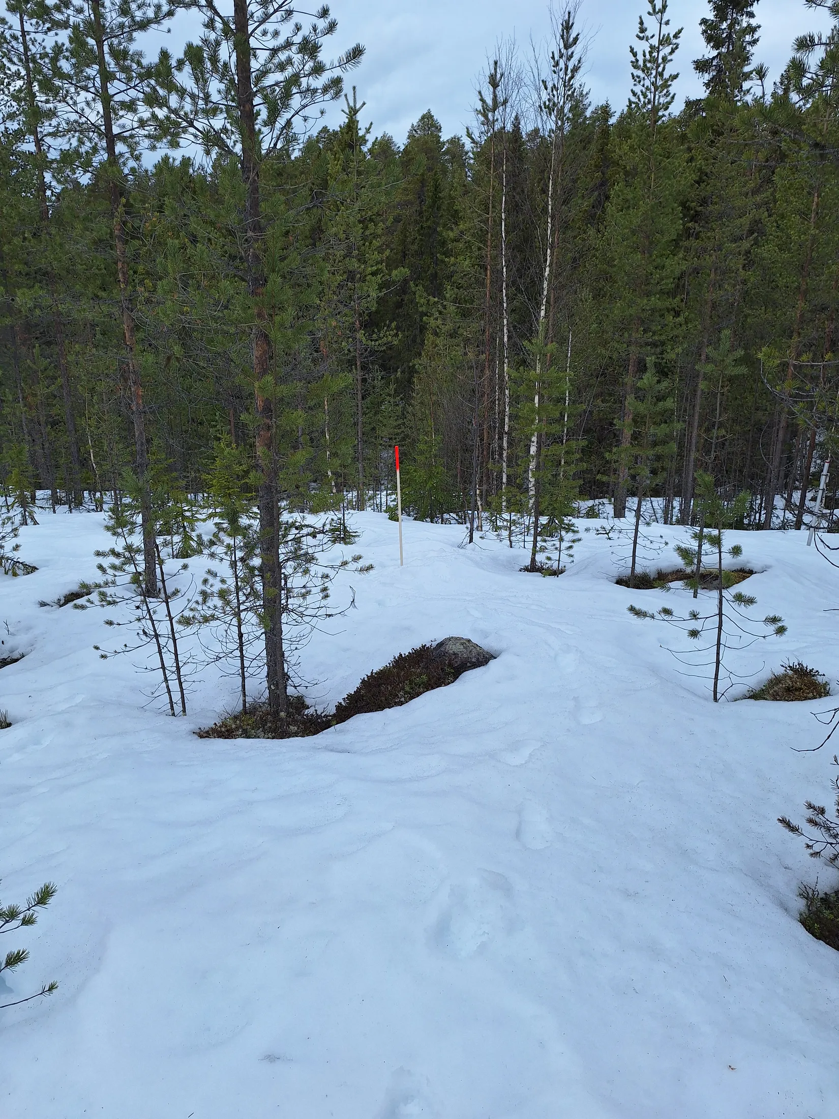 Tomt, Tomt Blåbärsstigen 19, Idre, Älvdalen
