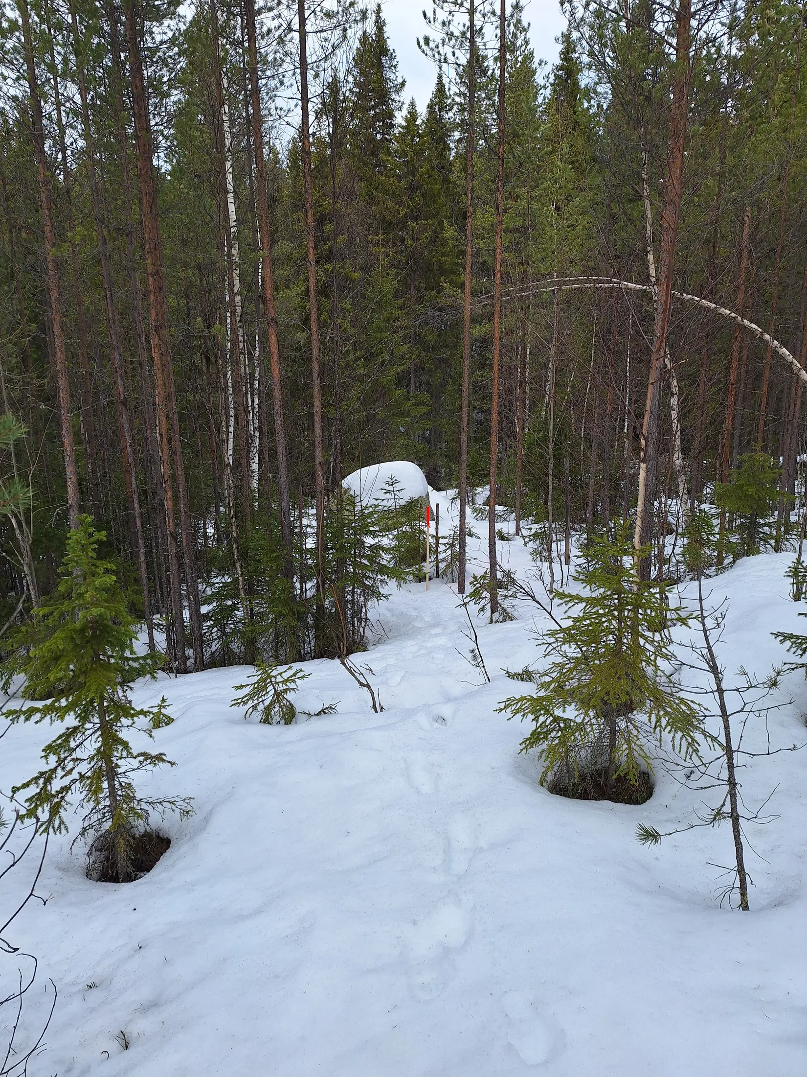 Tomt, Tomt Blåbärsstigen 19, Idre, Älvdalen