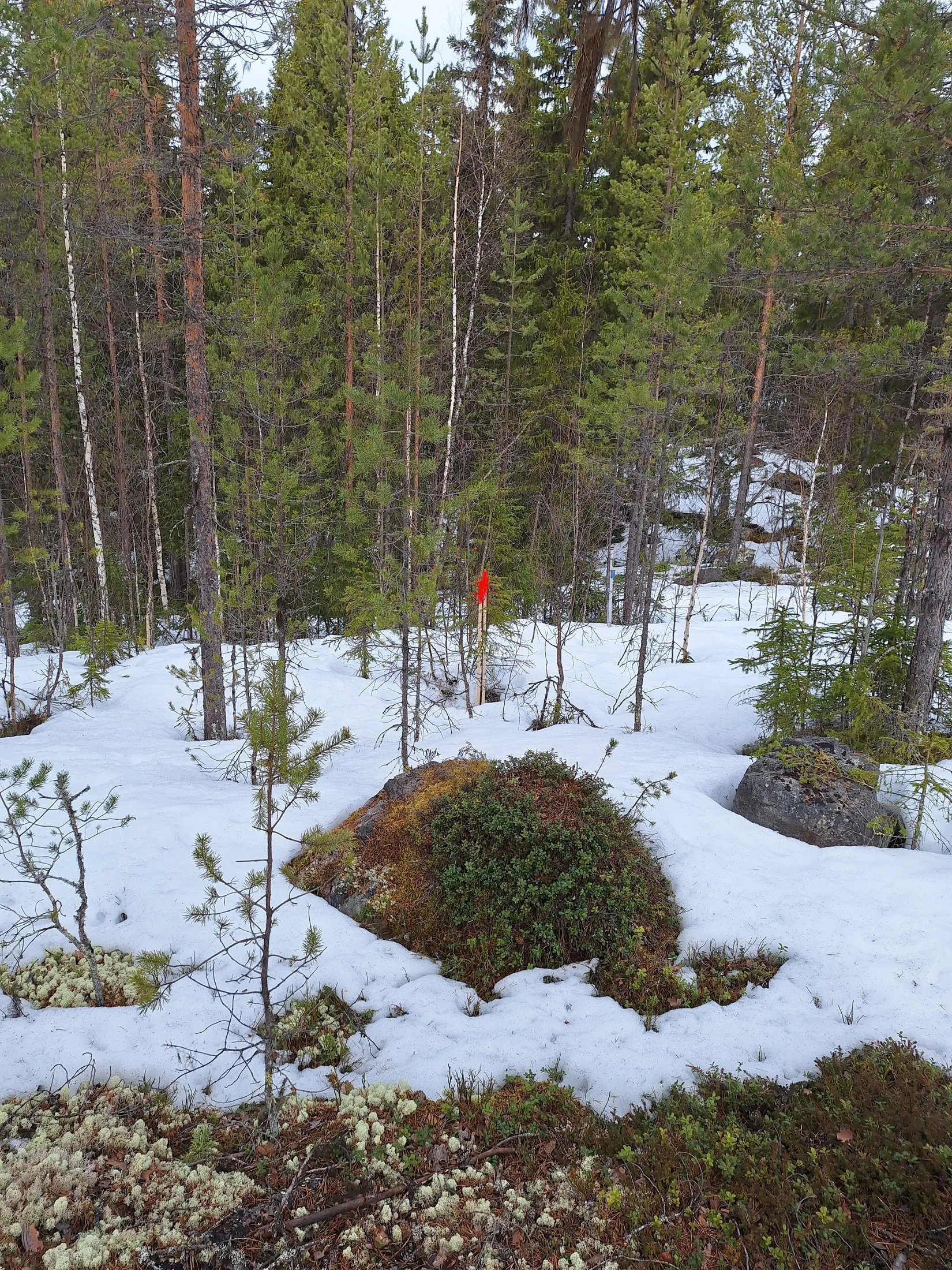 Tomt, Tomt Blåbärsstigen 19, Idre, Älvdalen