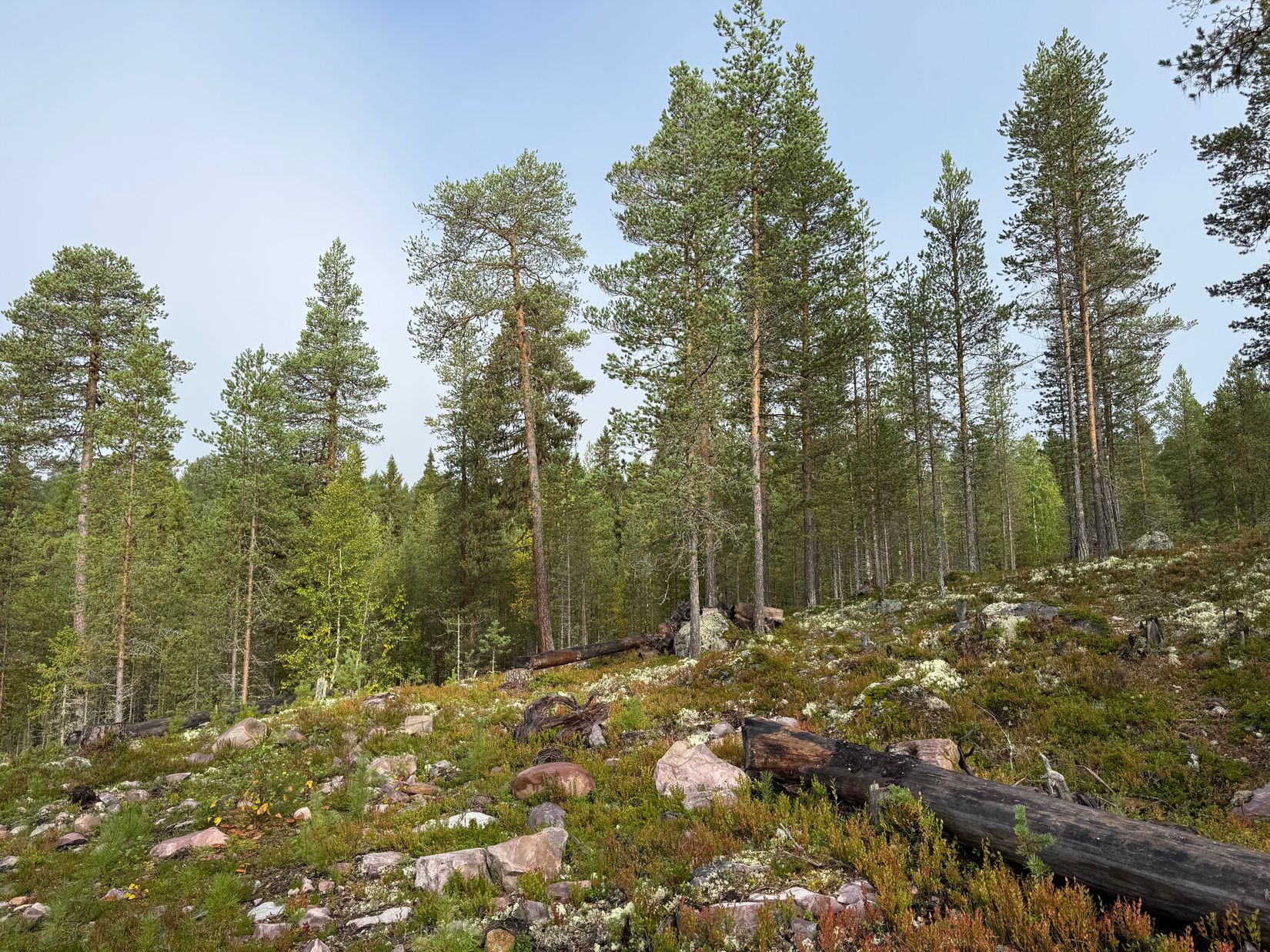 Tomt, Tomt Blåbärsstigen 21, Idre, Älvdalen