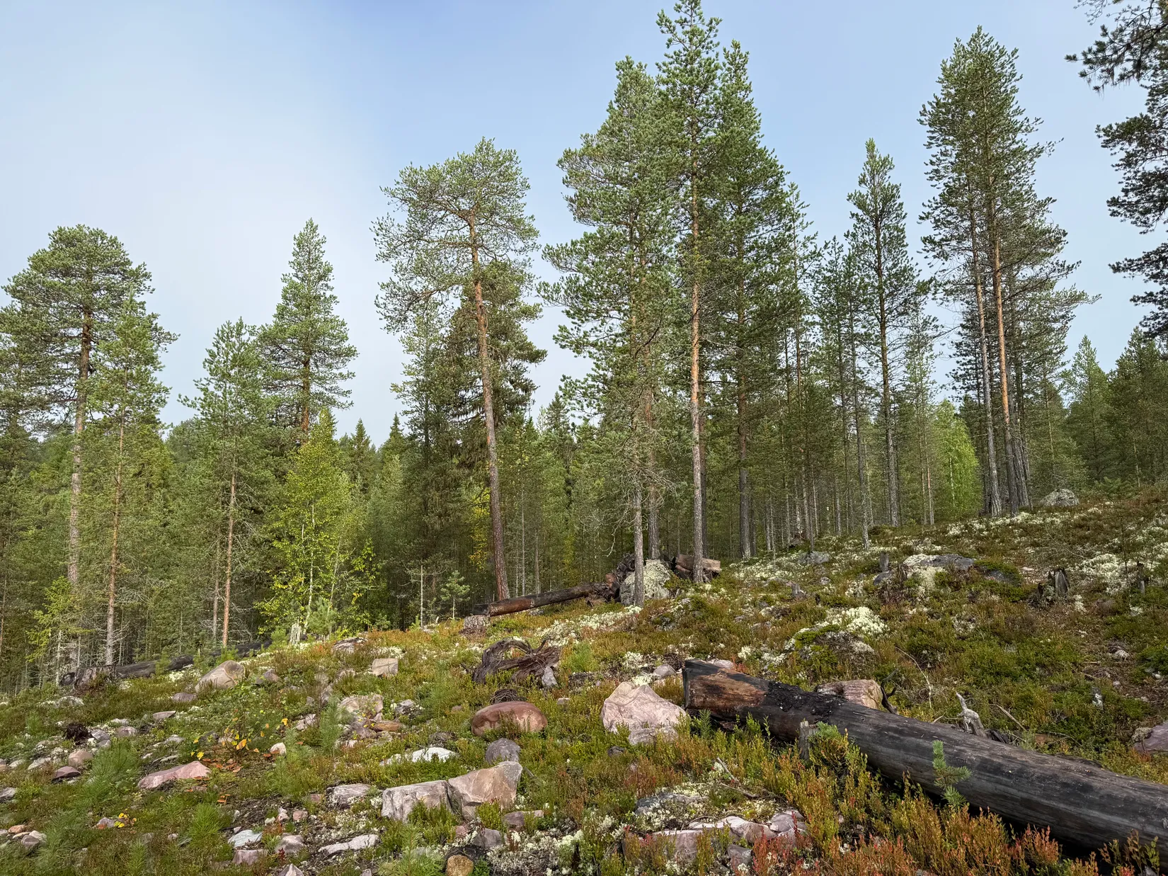 Tomt, Tomt Blåbärsstigen 21, Idre, Älvdalen