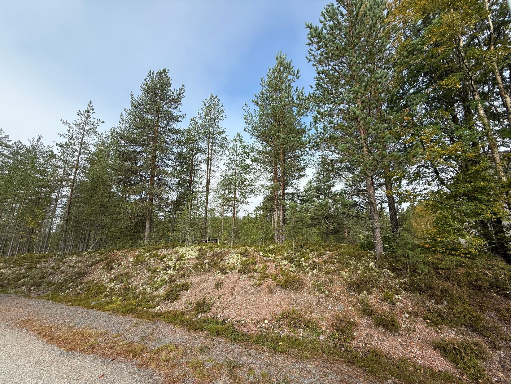 Tomt, Tomt Blåbärsstigen 21, Idre, Älvdalen