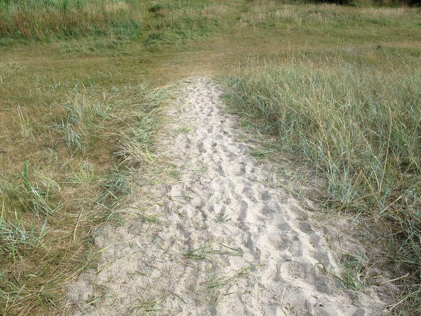 Tomt, Skaftvägen 24, Farhult, Höganäs