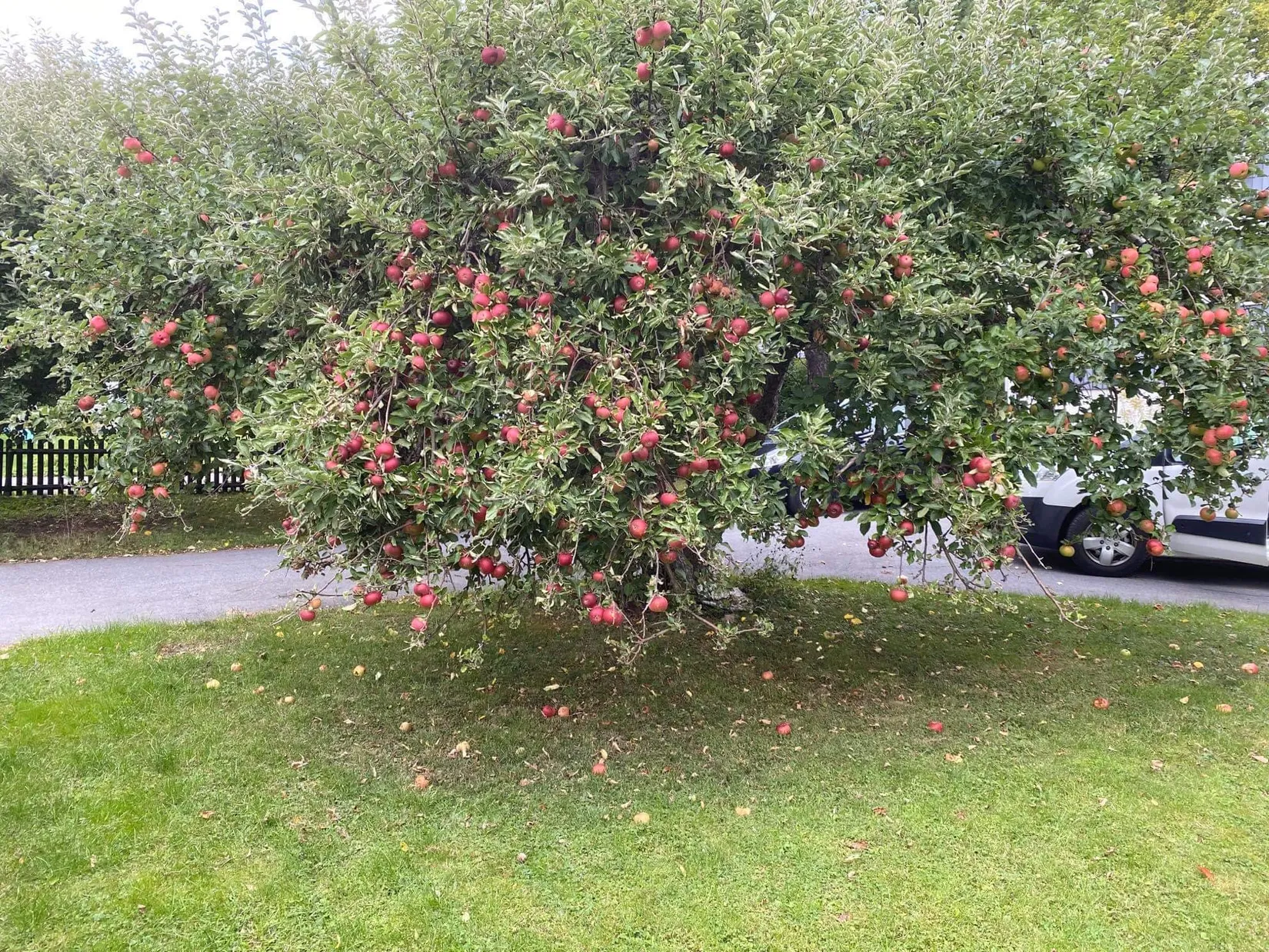 Villa, Brudkronevägen 3, Älvsjö - Solberga, Stockholm