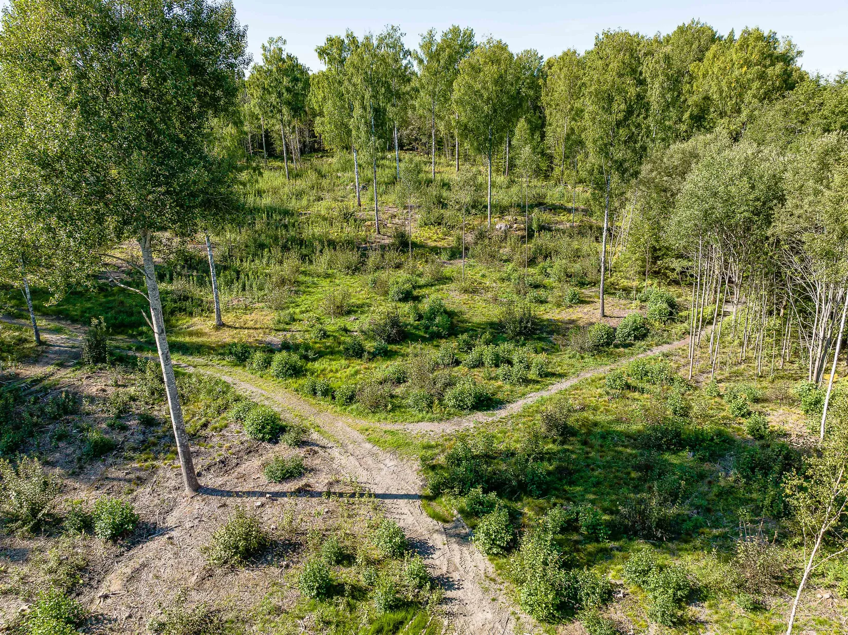 Tomt, Nysättersvägen 46, Stjärnhov, Gnesta