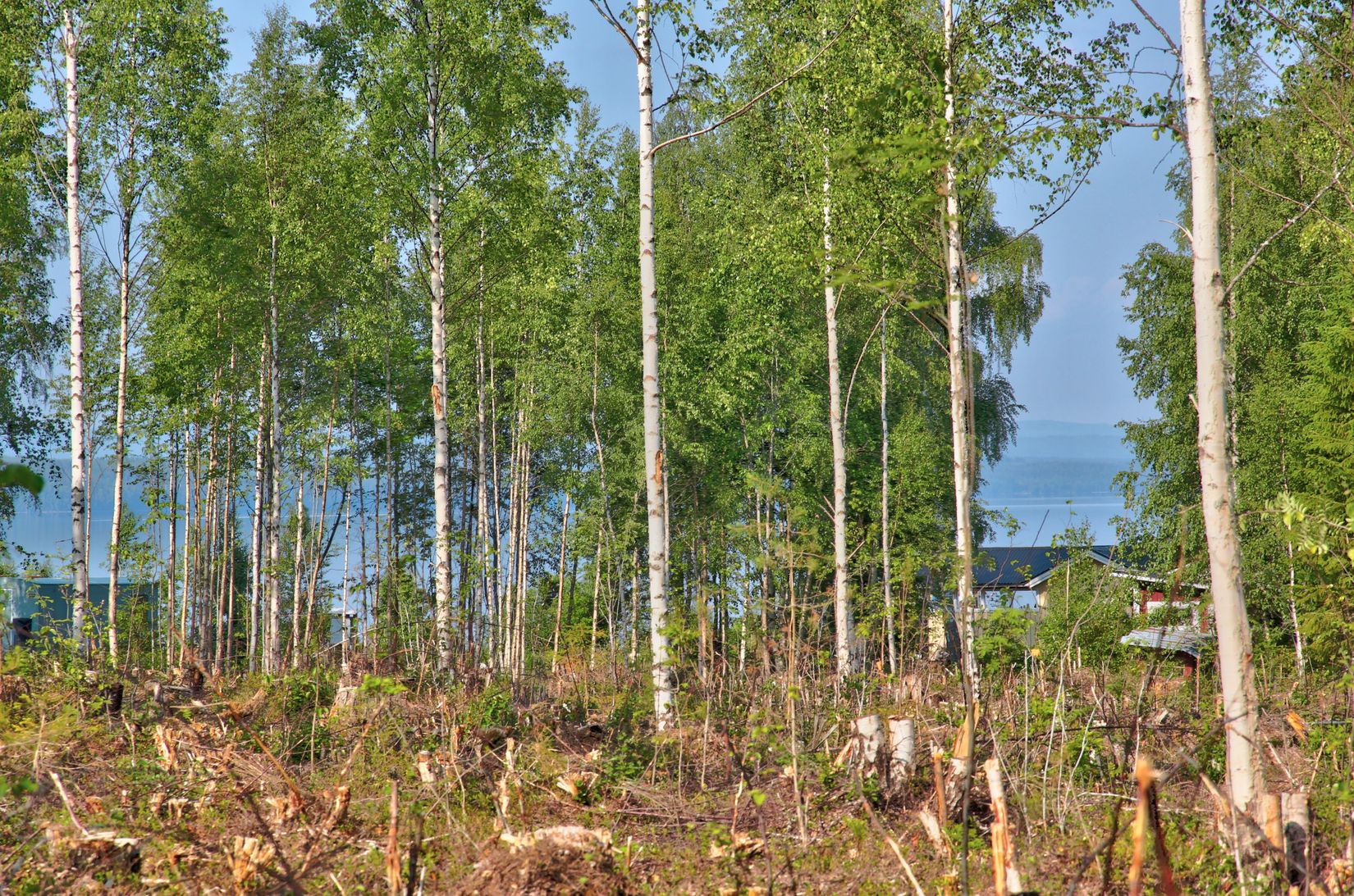 Tomt, Inälv 273, Inälv, Hudiksvall