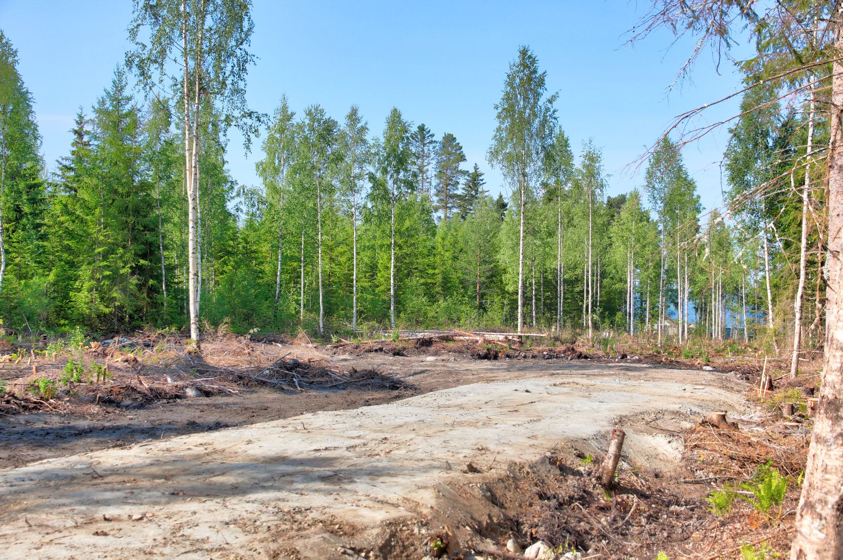 Tomt, Inälv 271, Inälv, Hudiksvall