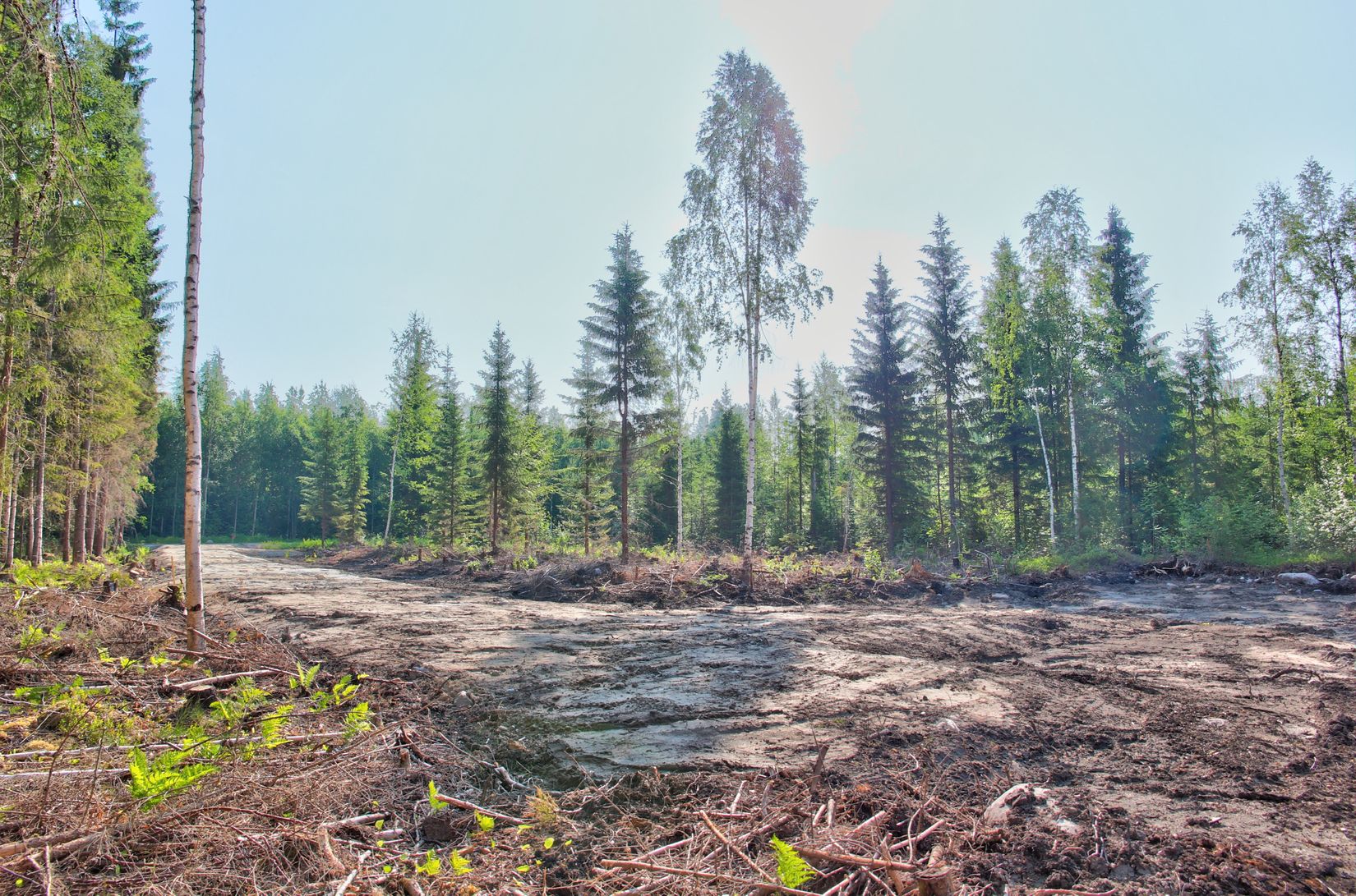 Tomt, Inälv 271, Inälv, Hudiksvall