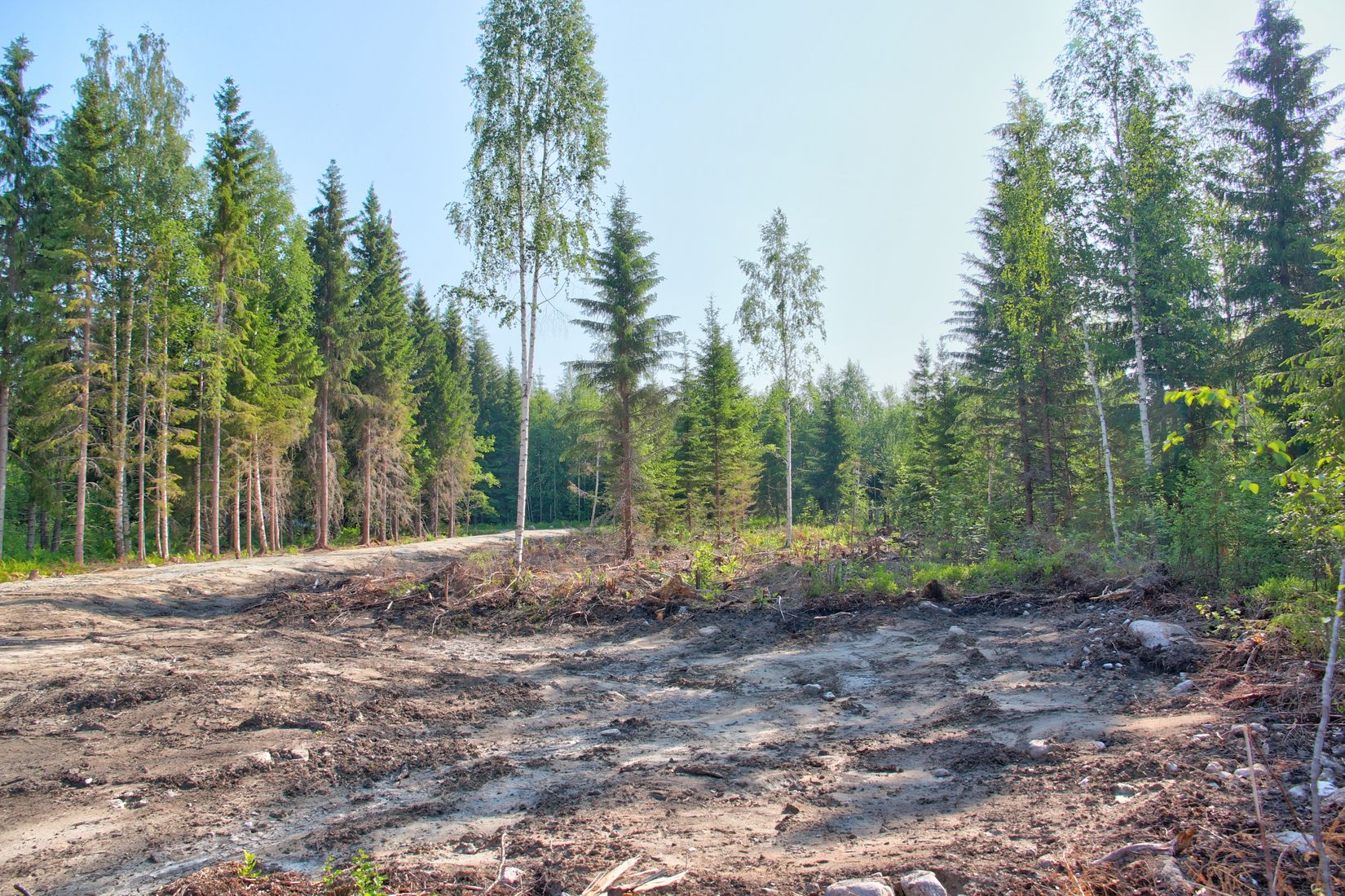 Tomt, Inälv 271, Inälv, Hudiksvall