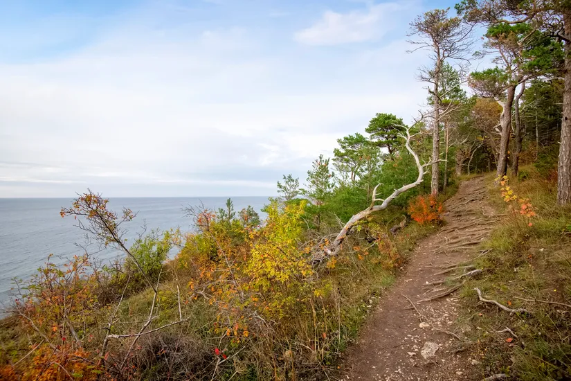 Tomt, Västerhejde/Toftavägen, Västerhejde, Gotland