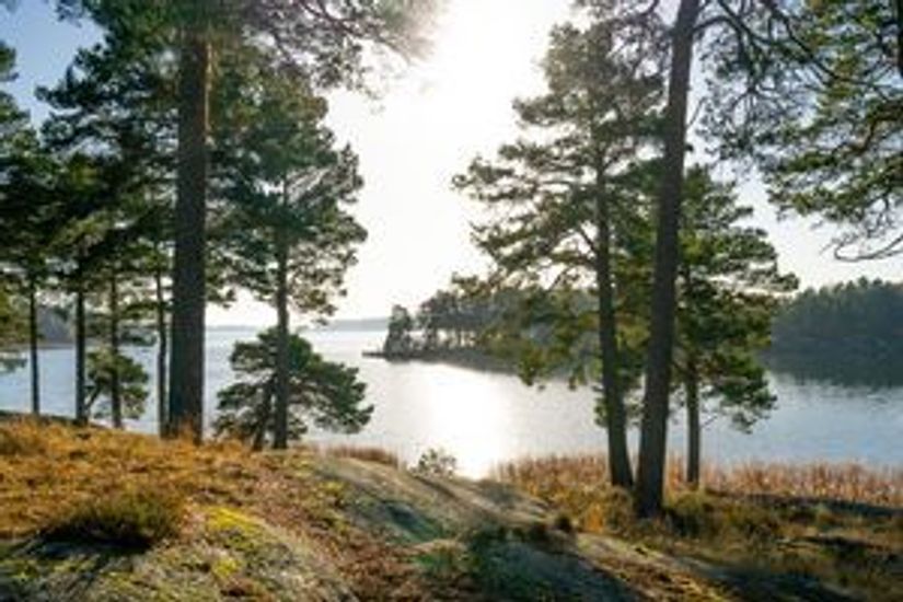 Radhus, Näsuddsvägen 33D, Danvikshagen, Oxelösund