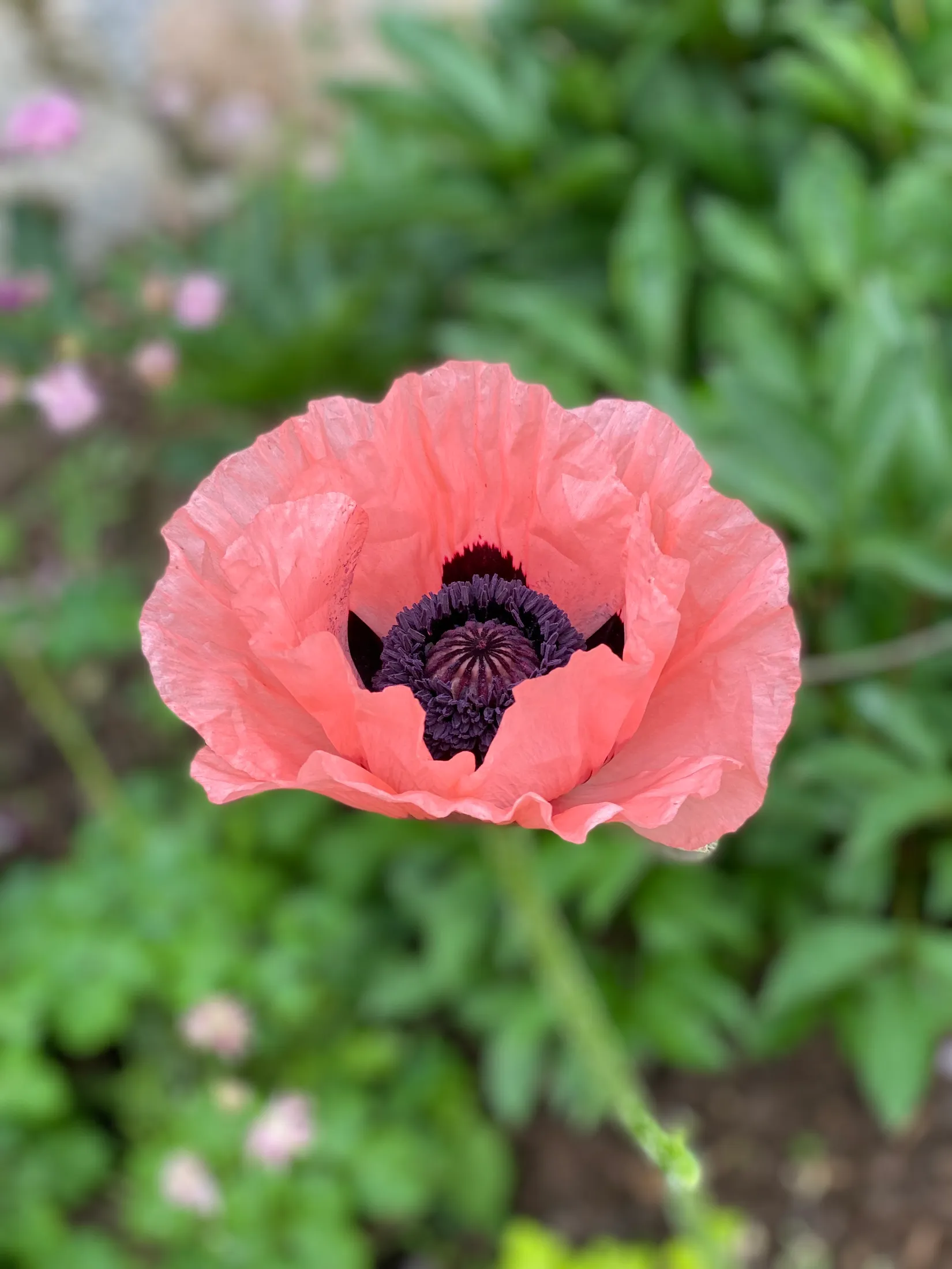 Villa, Södra Edsvik 3, Grebbestad, Tanum