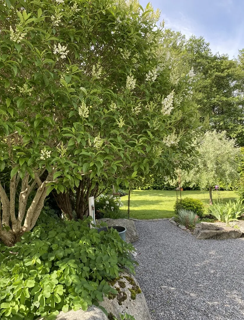 Villa, Södra Edsvik 3, Grebbestad, Tanum