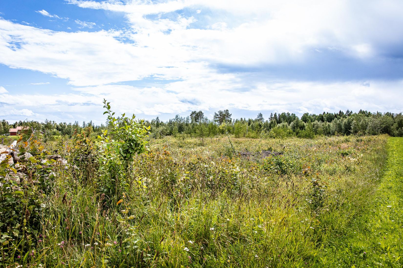 Tomt, Måläng 106, Annersia, Östersund