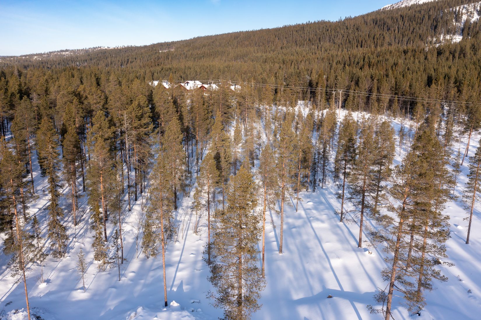 Tomt, Tomt Härjedalen Lofsdalen 1:462, Härjedalen