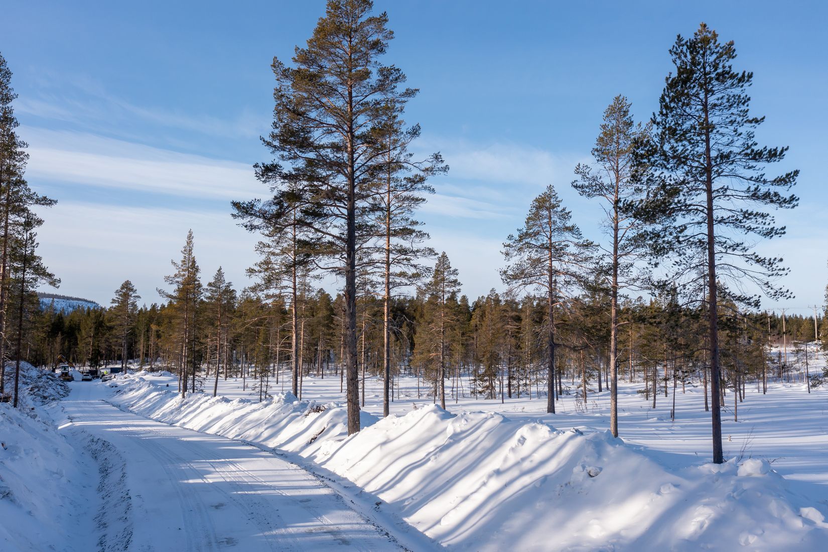 Tomt, Tomt Härjedalen Lofsdalen 1:462, Härjedalen