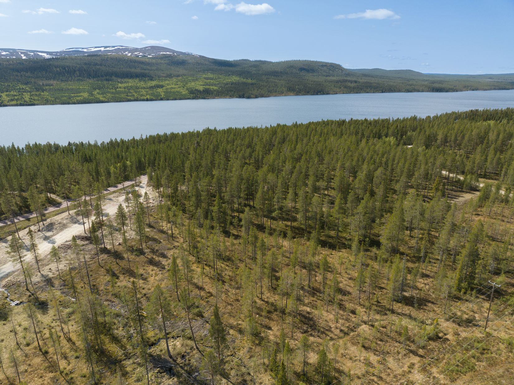 Tomt, Tomt Härjedalen Lofsdalen 1:462, Härjedalen
