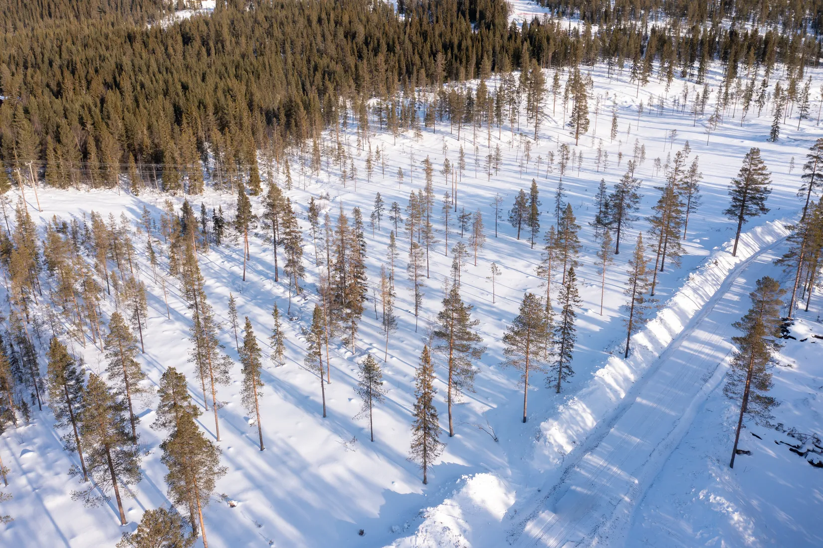 Tomt, Tomt Härjedalen Lofsdalen 1:462, Härjedalen