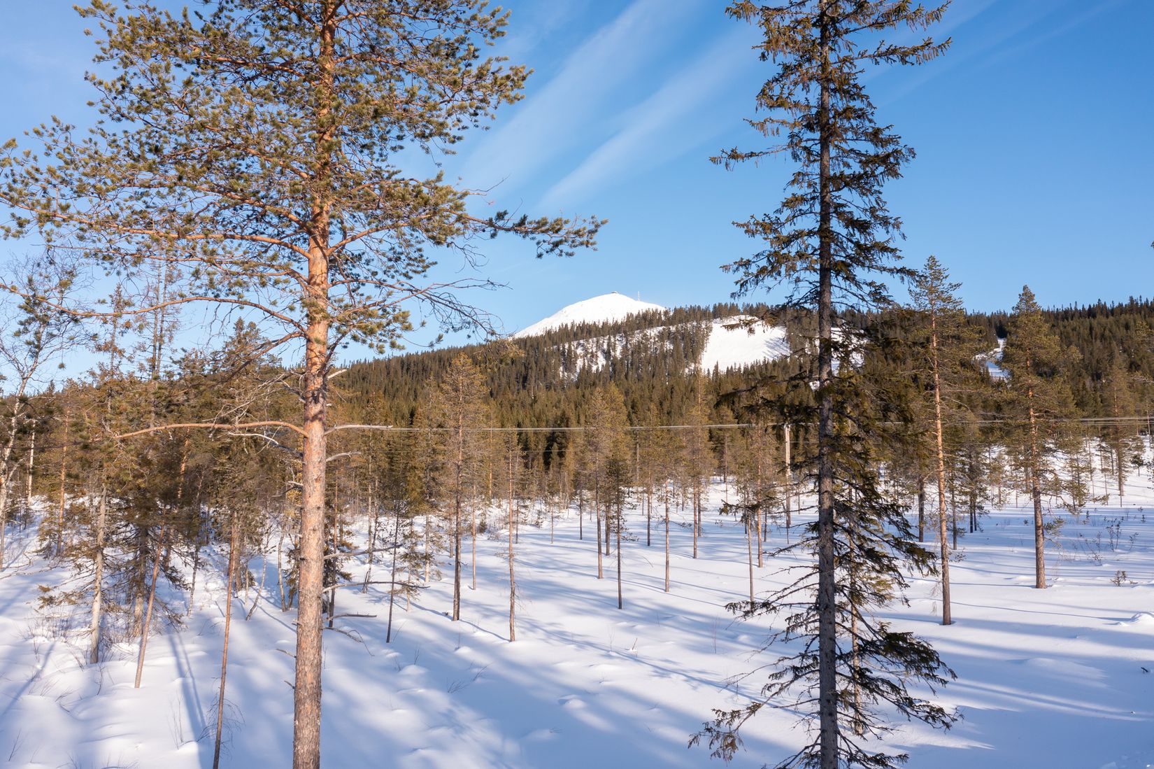 Tomt, Tomt Härjedalen Lofsdalen 1:462, Härjedalen
