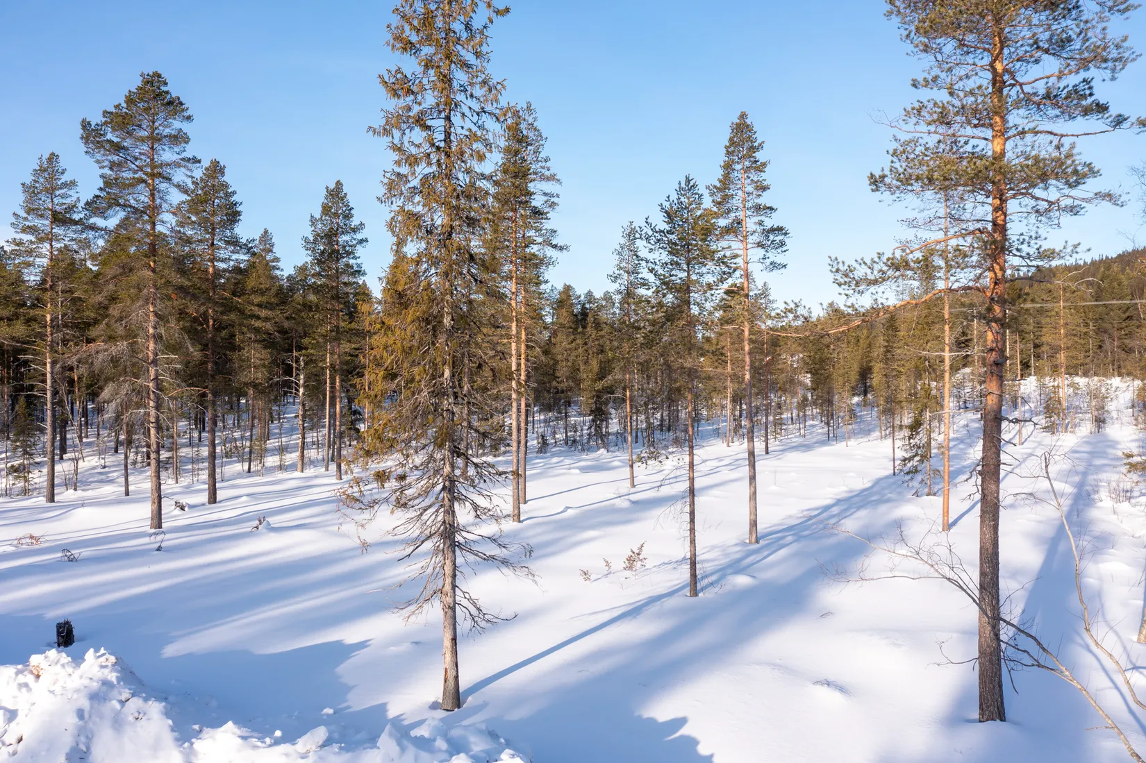 Tomt, Tomt Härjedalen Lofsdalen 1:462, Härjedalen