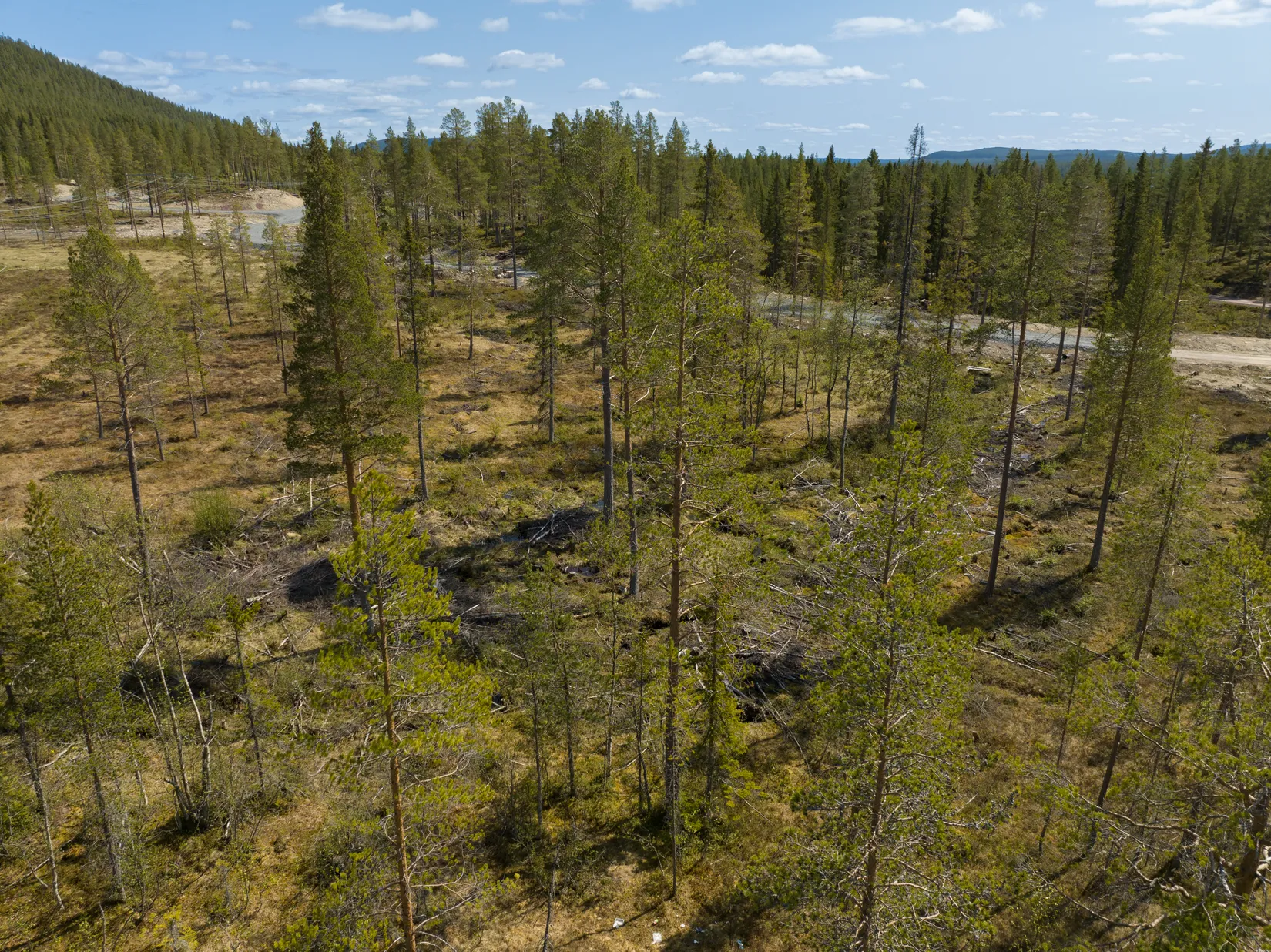 Tomt, Tomt Härjedalen Lofsdalen 1:462, Härjedalen