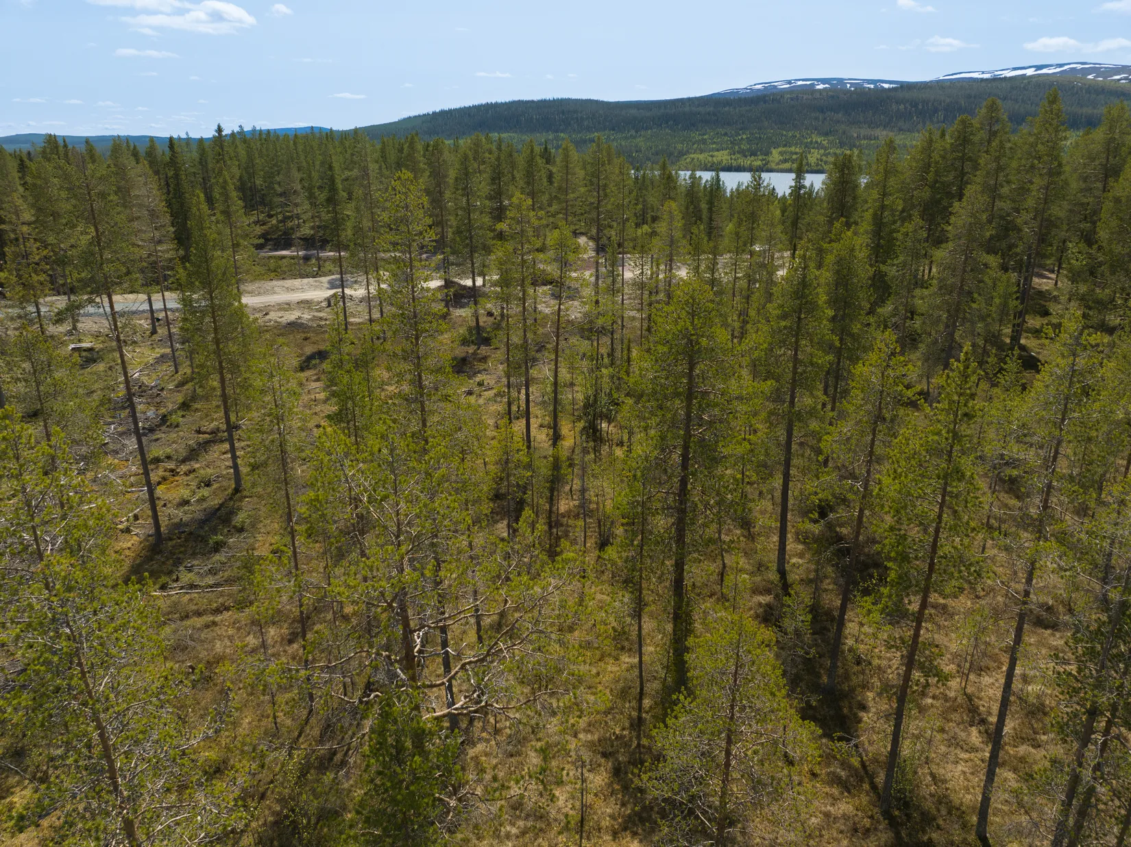 Tomt, Tomt Härjedalen Lofsdalen 1:462, Härjedalen