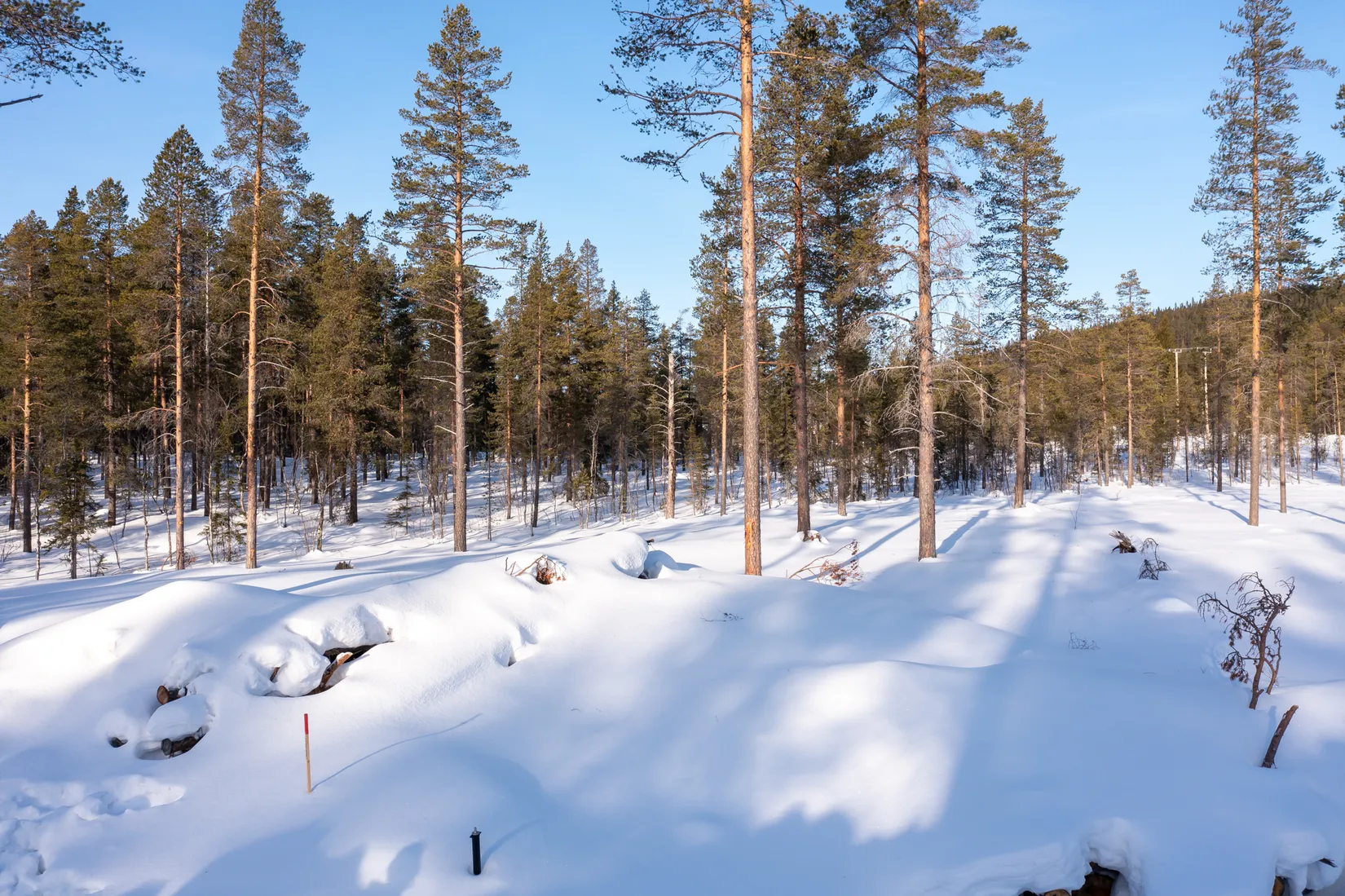 Tomt, Tomt Härjedalen Lofsdalen 1:462, Härjedalen