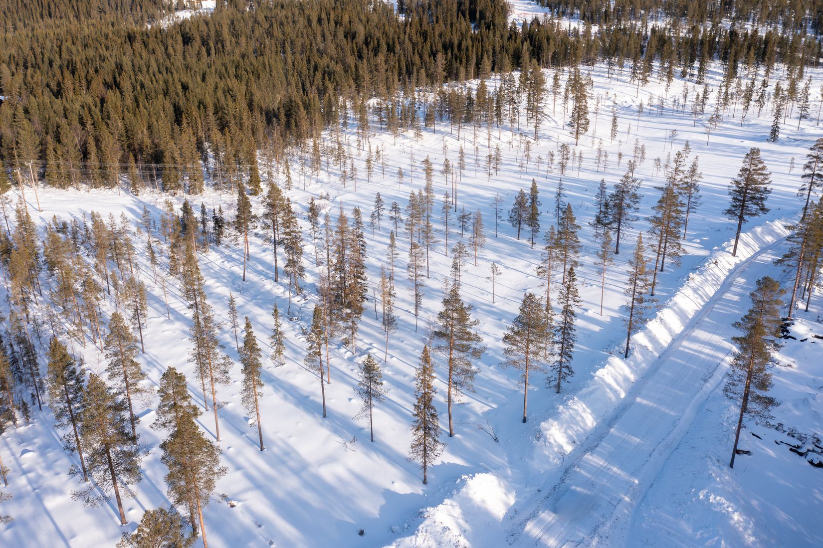 Tomt, Tomt Härjedalen Lofsdalen 1:463, Härjedalen