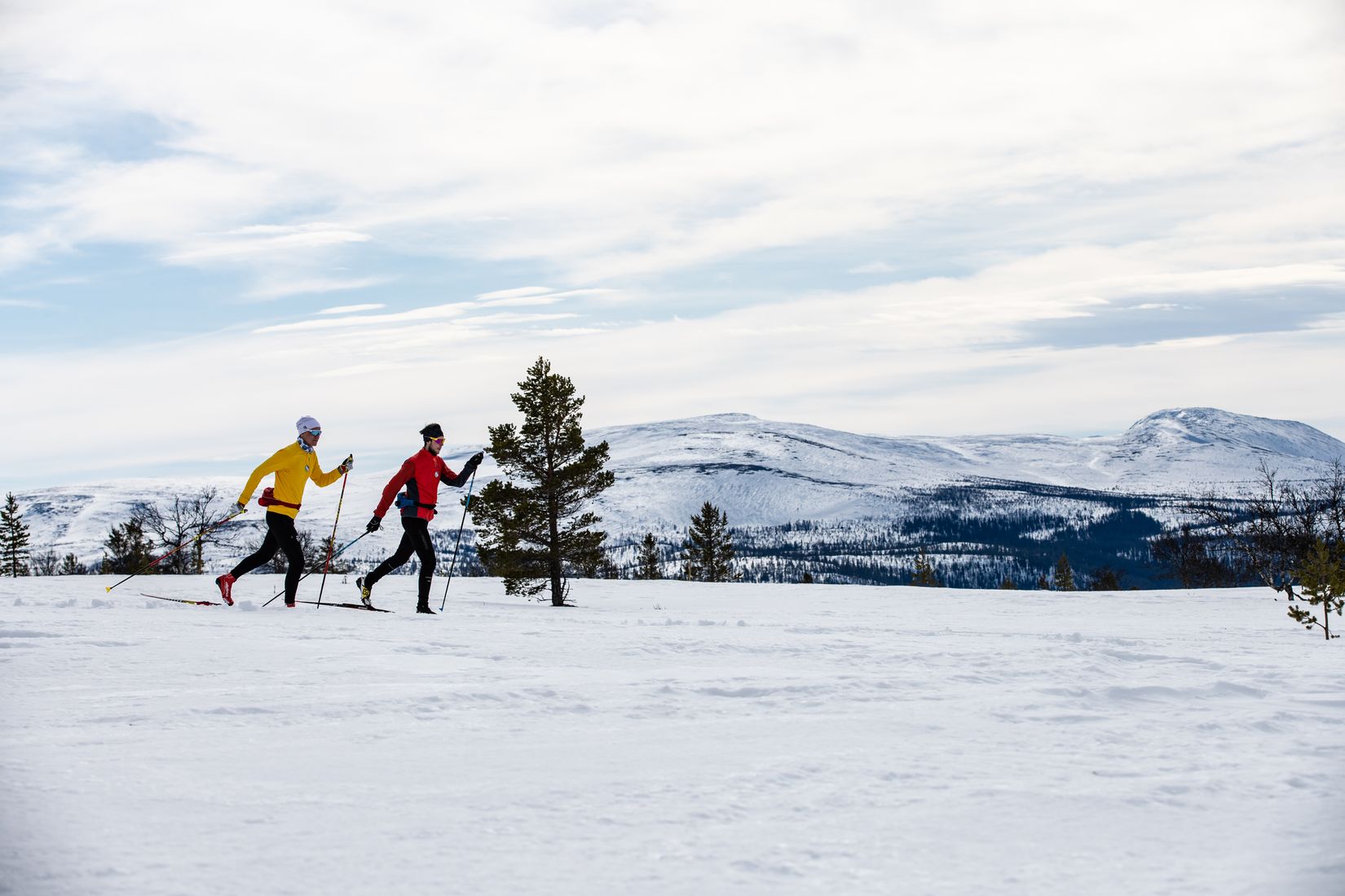 Tomt, Tomt Härjedalen Lofsdalen 1:463, Härjedalen