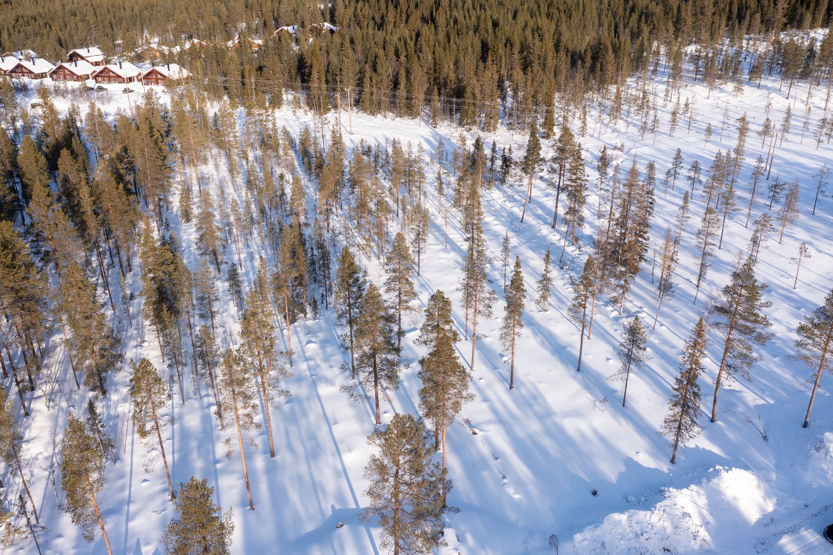 Tomt, Tomt Härjedalen Lofsdalen 1:463, Härjedalen