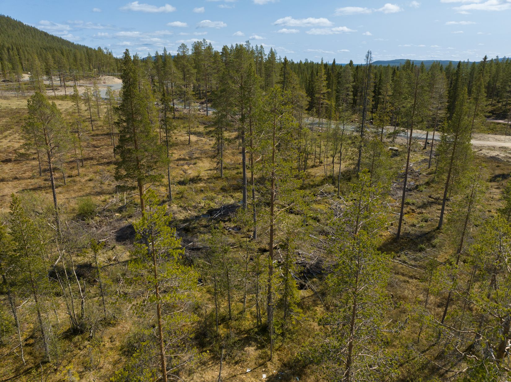 Tomt, Tomt Härjedalen Lofsdalen 1:463, Härjedalen