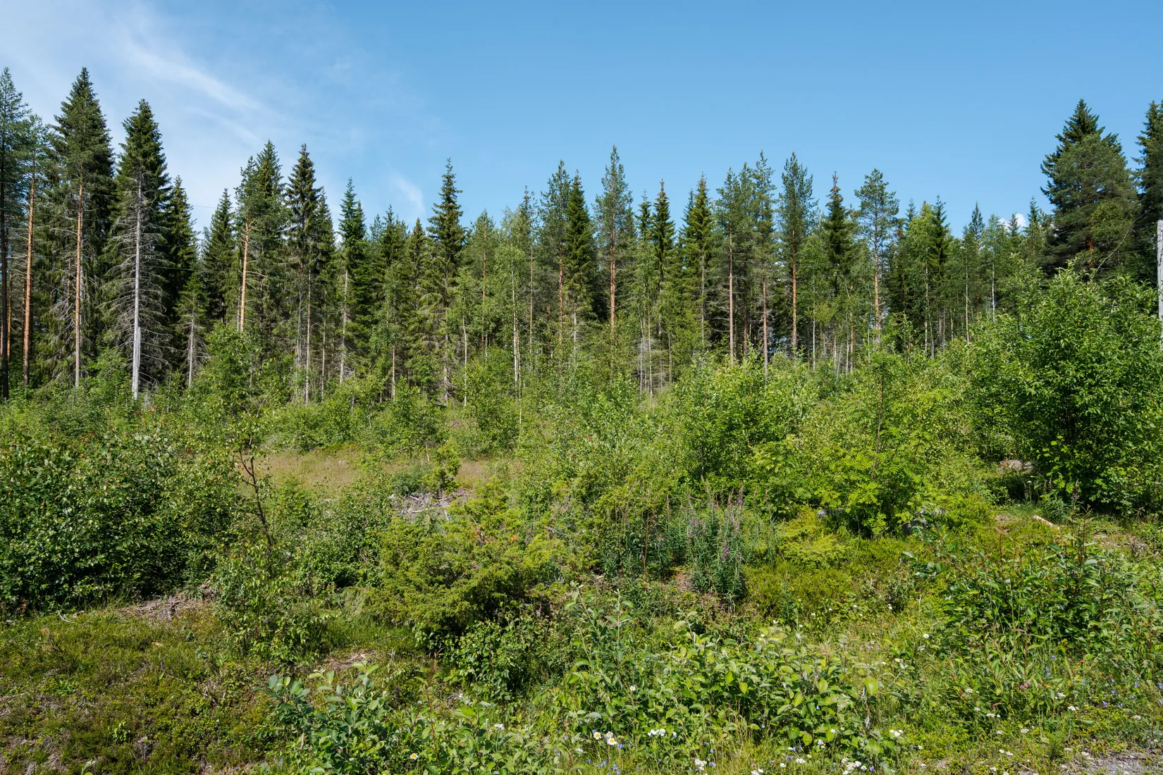 Tomt, Trevlig naturtomt med lantligt läge!, Kroksjön, Skellefteå