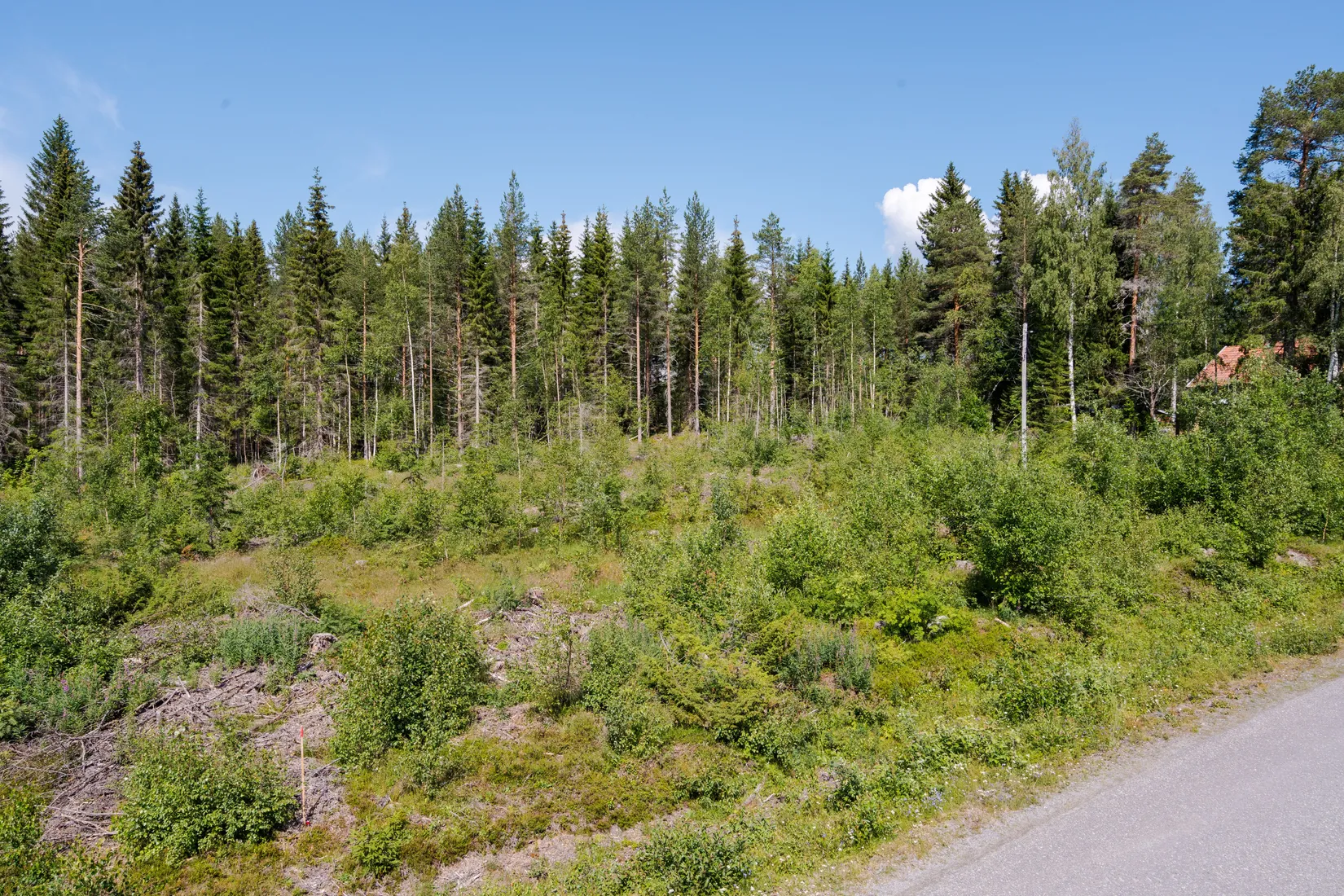 Tomt, Trevlig naturtomt med lantligt läge!, Kroksjön, Skellefteå