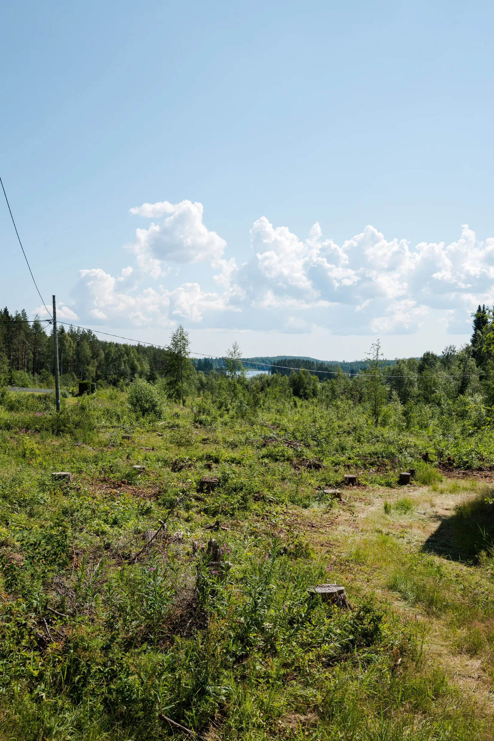 Tomt, Trevlig naturtomt med lantligt läge!, Kroksjön, Skellefteå