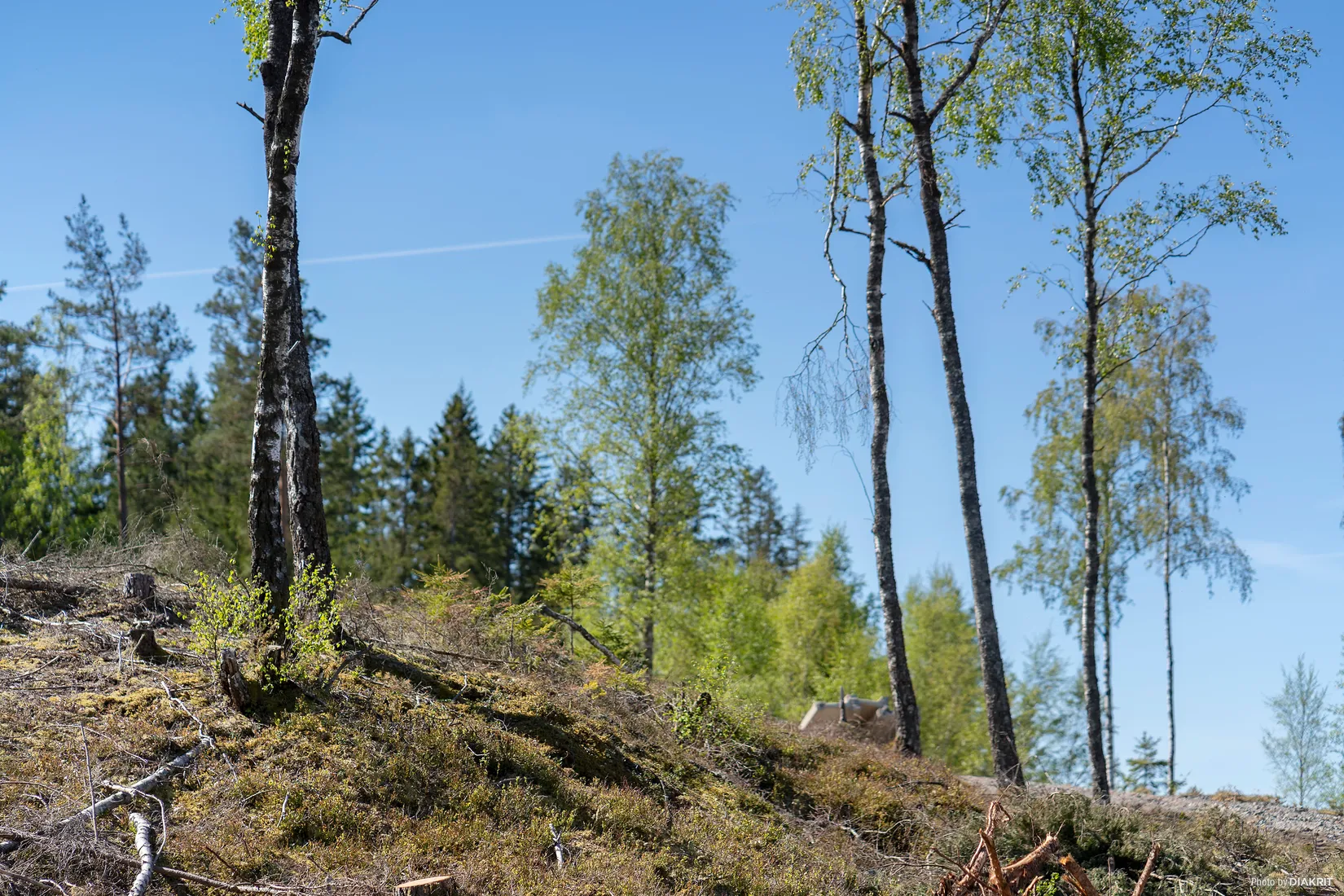 Villa, Hällnäsvägen 20A, Långared, Alingsås
